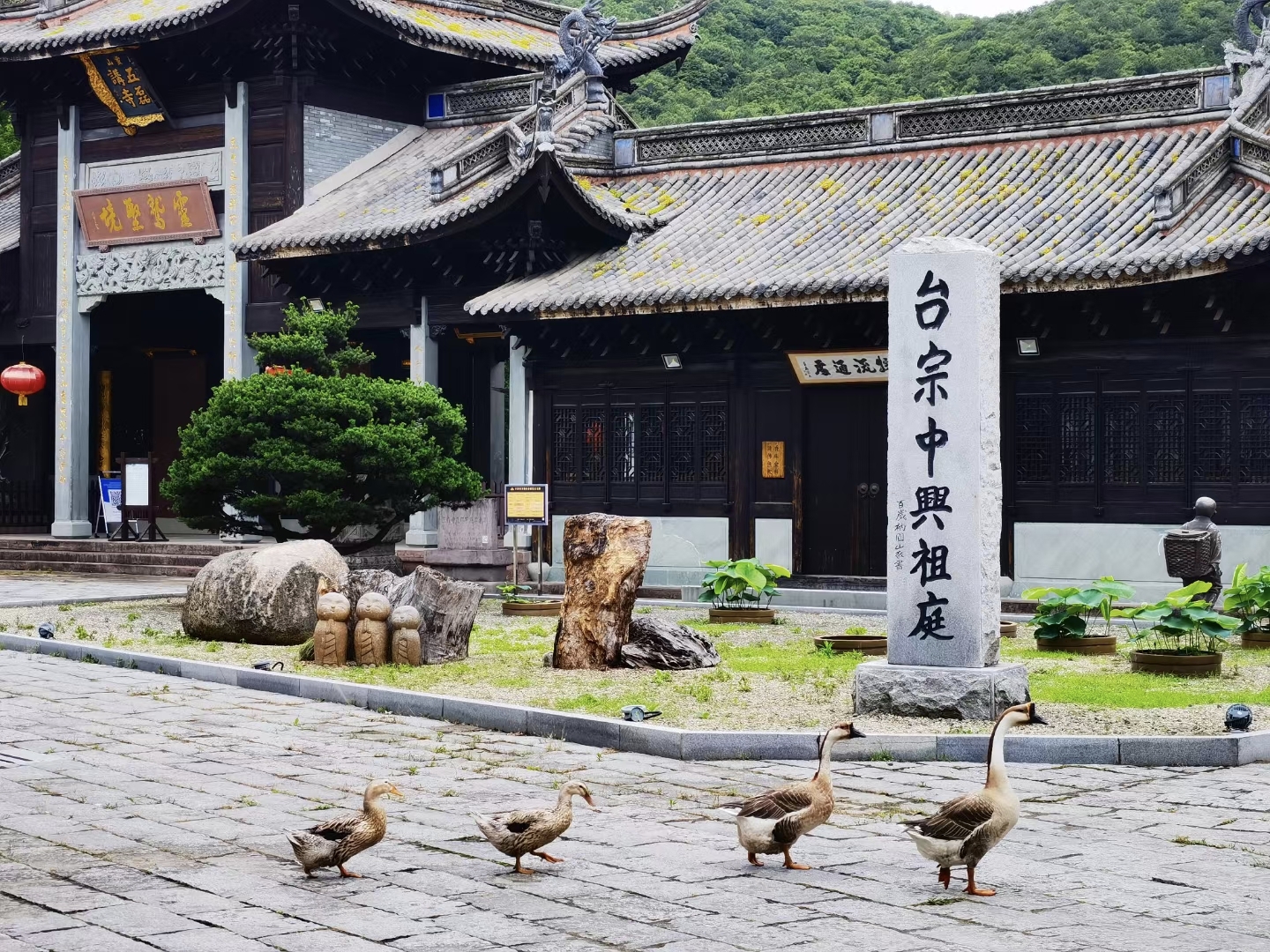 端午走慈溪，两天一夜悠闲游_游记