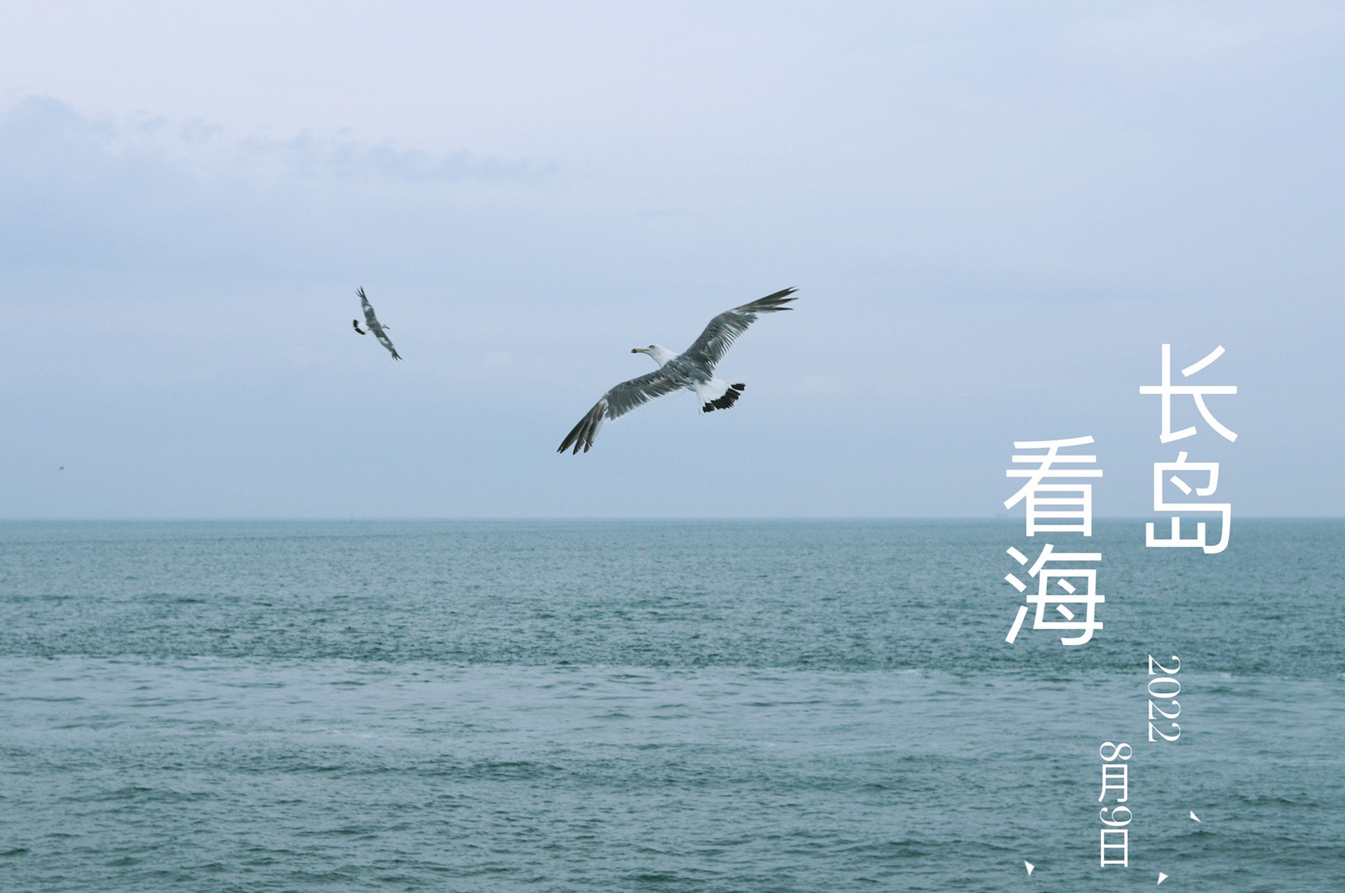 长岛看海_游记