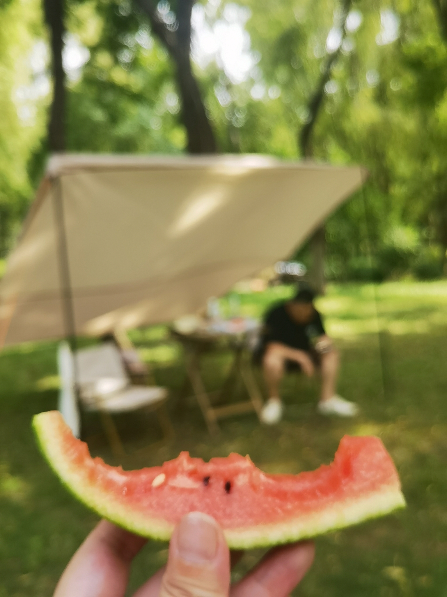新手露营️_游记