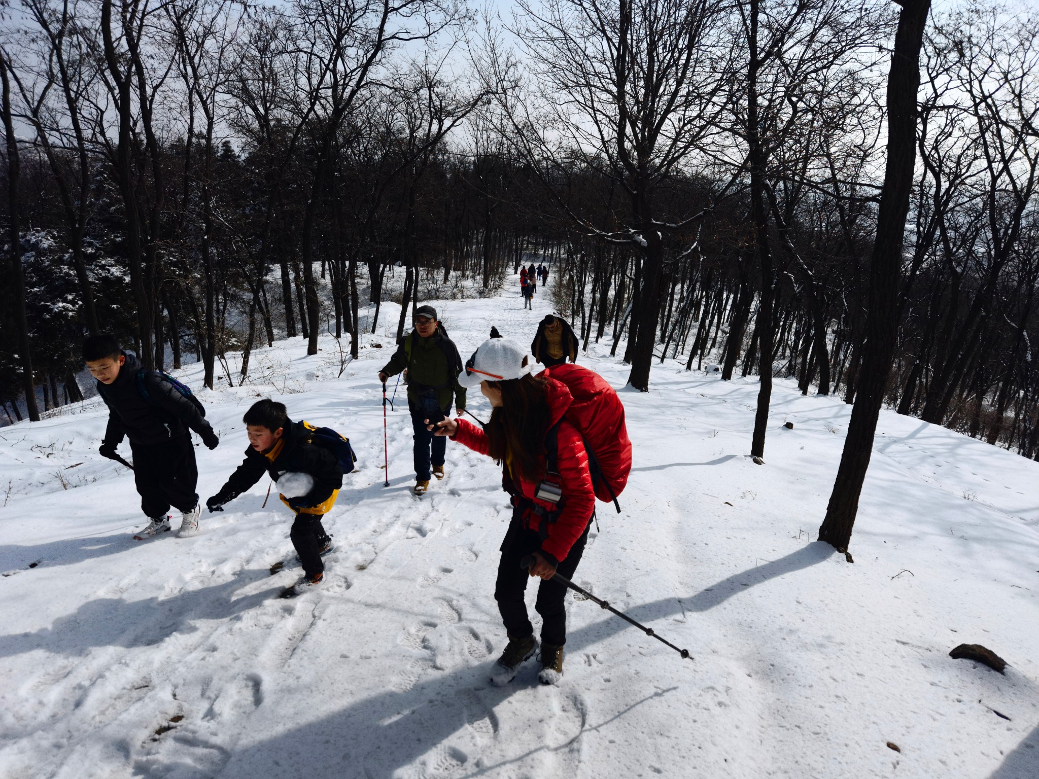 玉树傲娇银花怒放雪岭惊艳帅哥黯然美女失色嶕峣山雪图洛阳