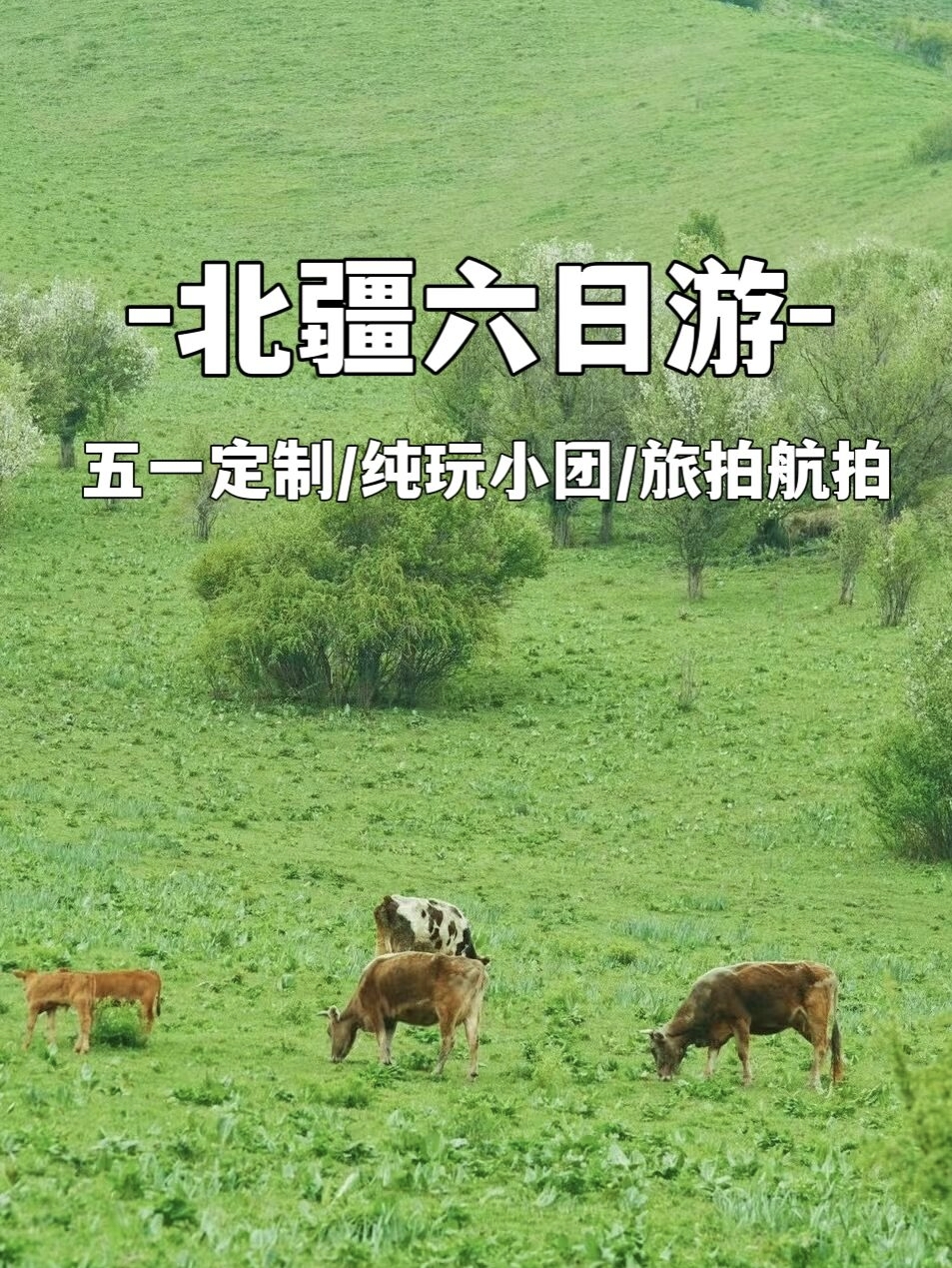 新疆｜6⃣️日游，4人越野➕航拍摄影❤人均_游记