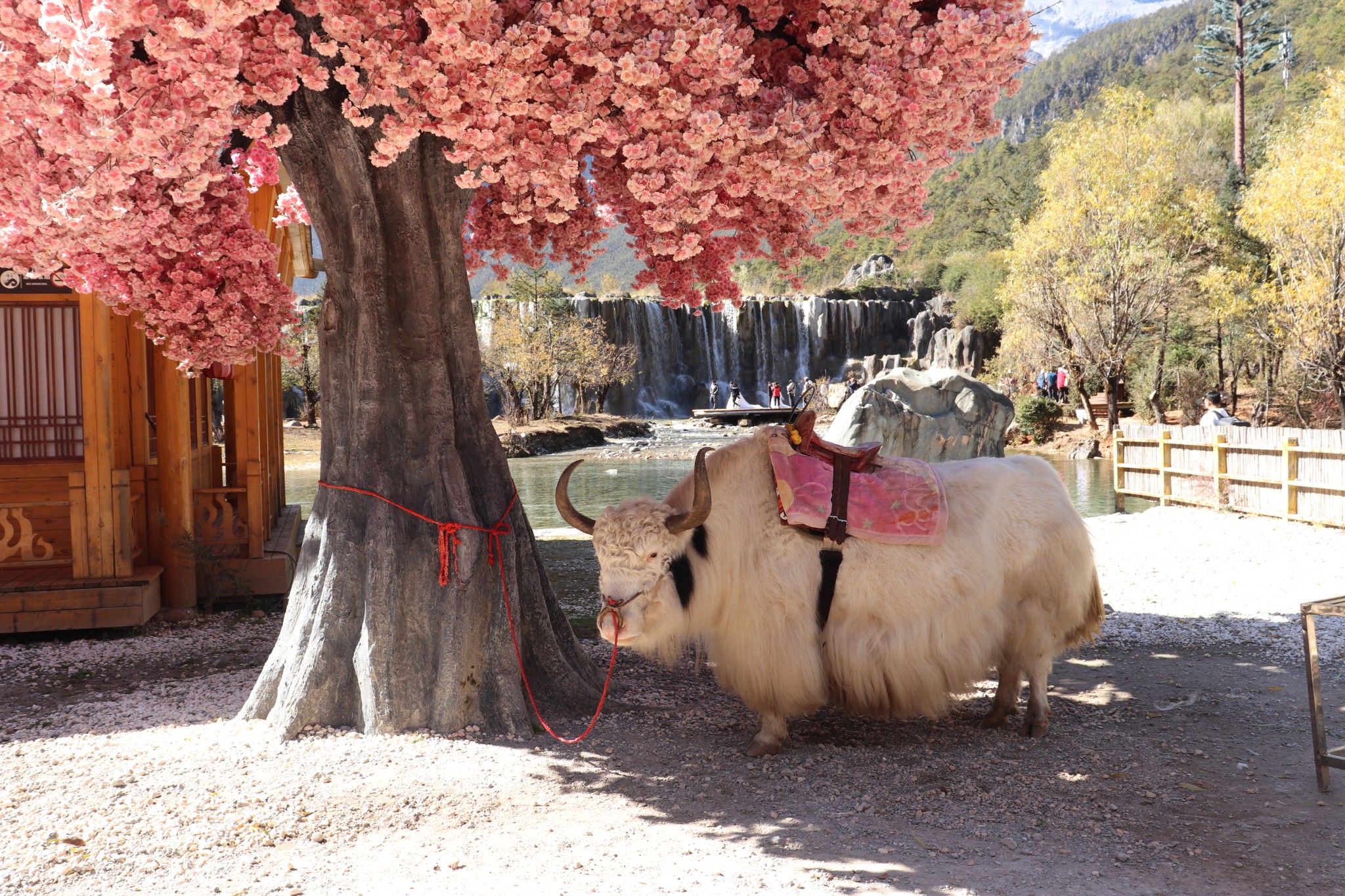 lijiang Blue Moon Valley