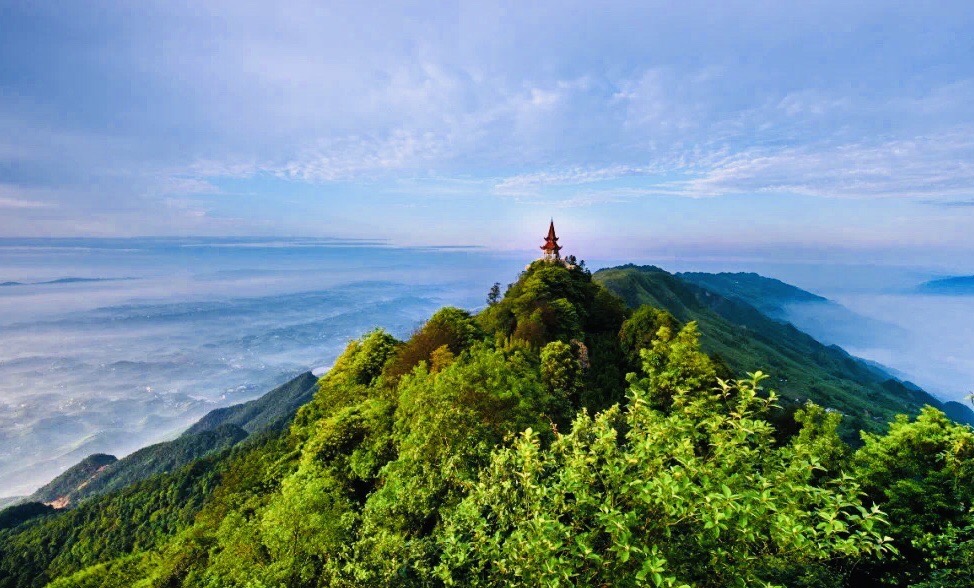 茶山竹海（2022年7月19）_游记