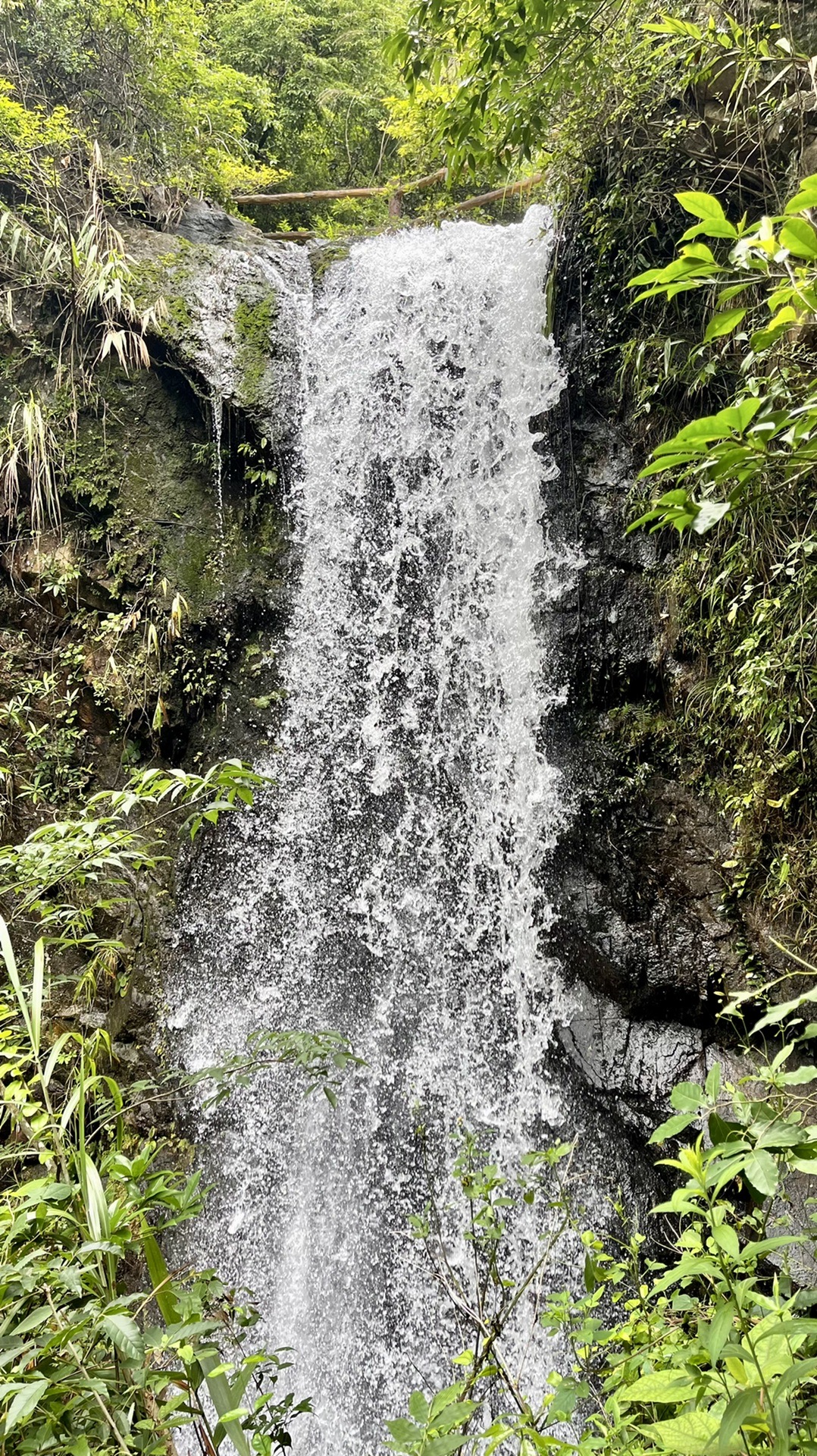 深圳周边探秘·马峦山郊野公园徒步_游记