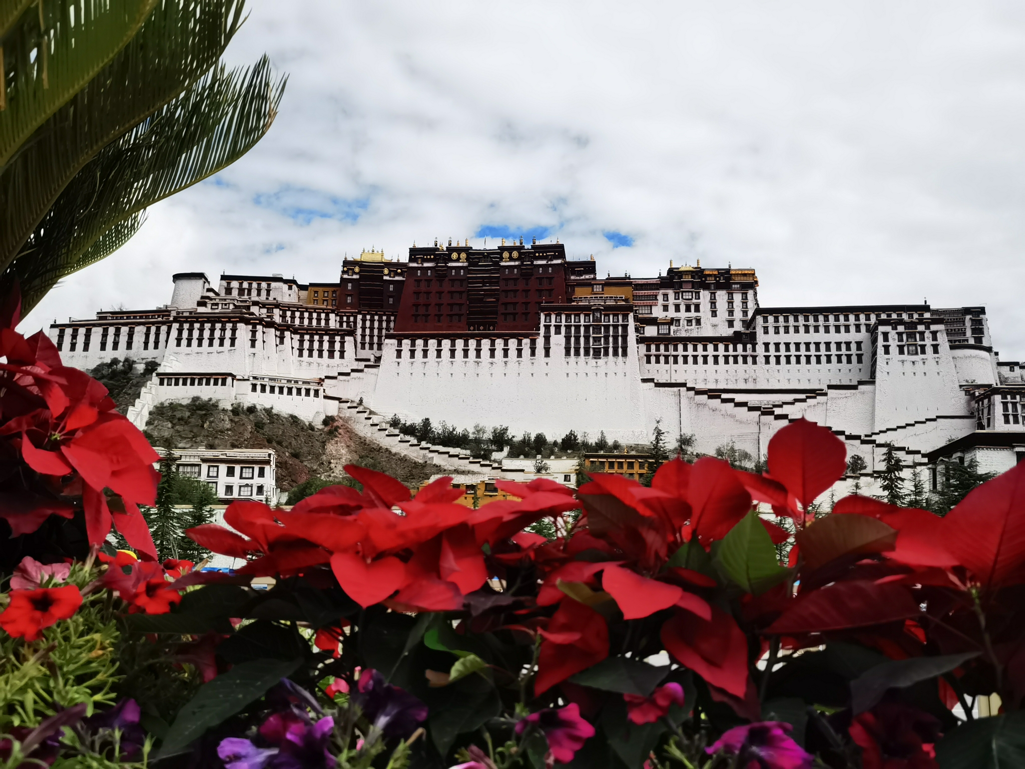 西藏拉萨扎基寺，色拉寺，布达拉宫广场，布达拉宫_游记