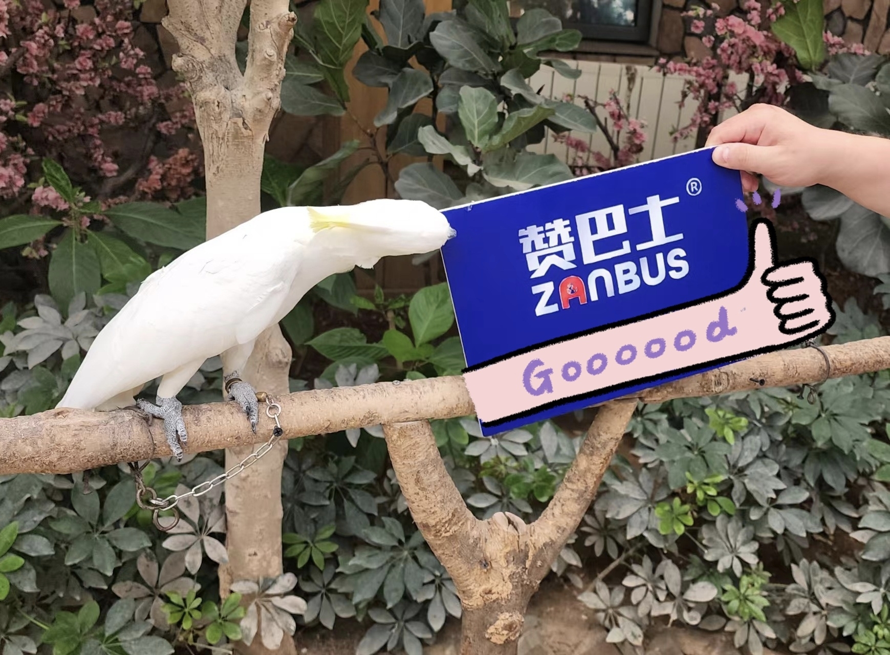北京野生动物园怎么玩/实用攻略_游记