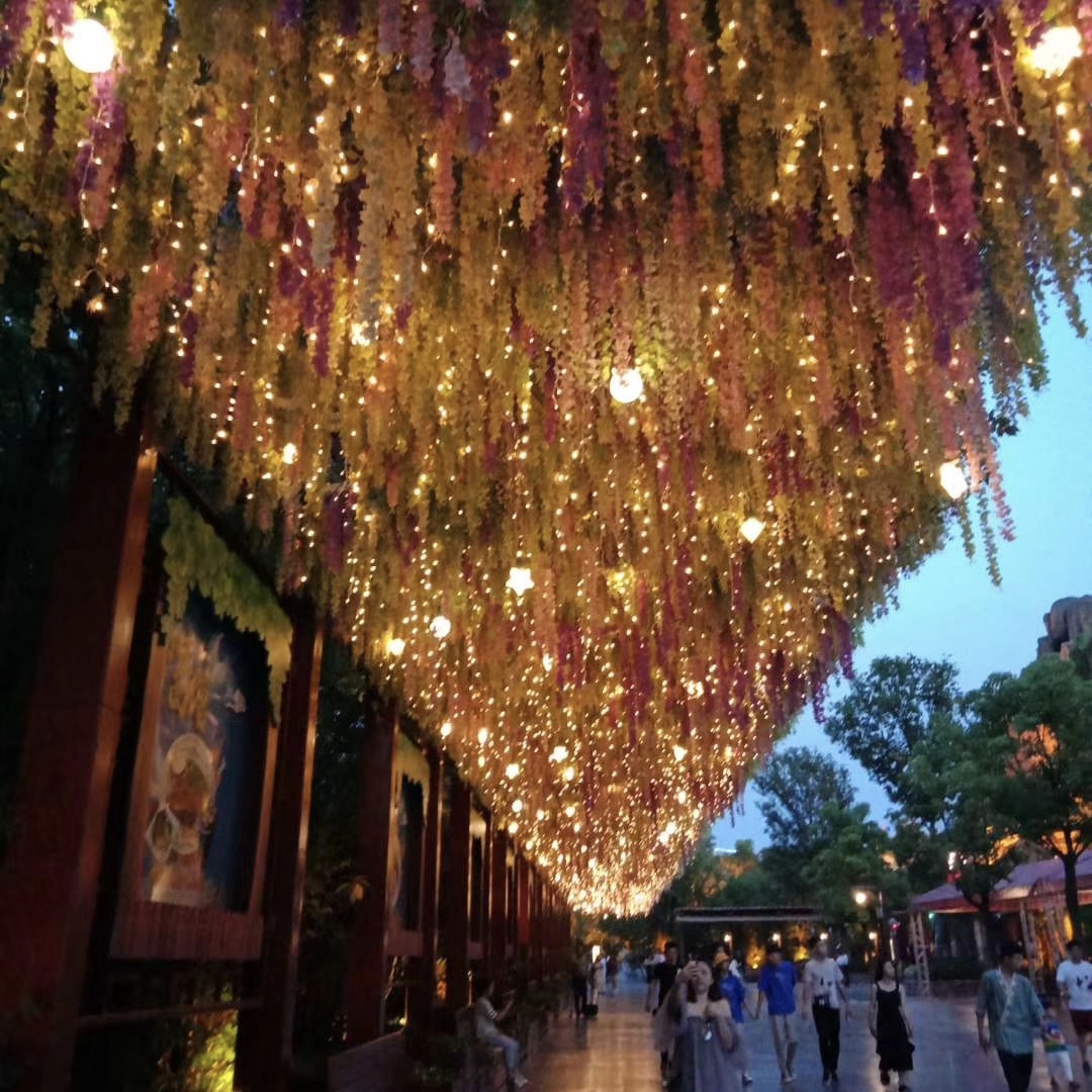 随风而逝—《芜湖之行》               姜 拍摄于2019/6/8号_游记