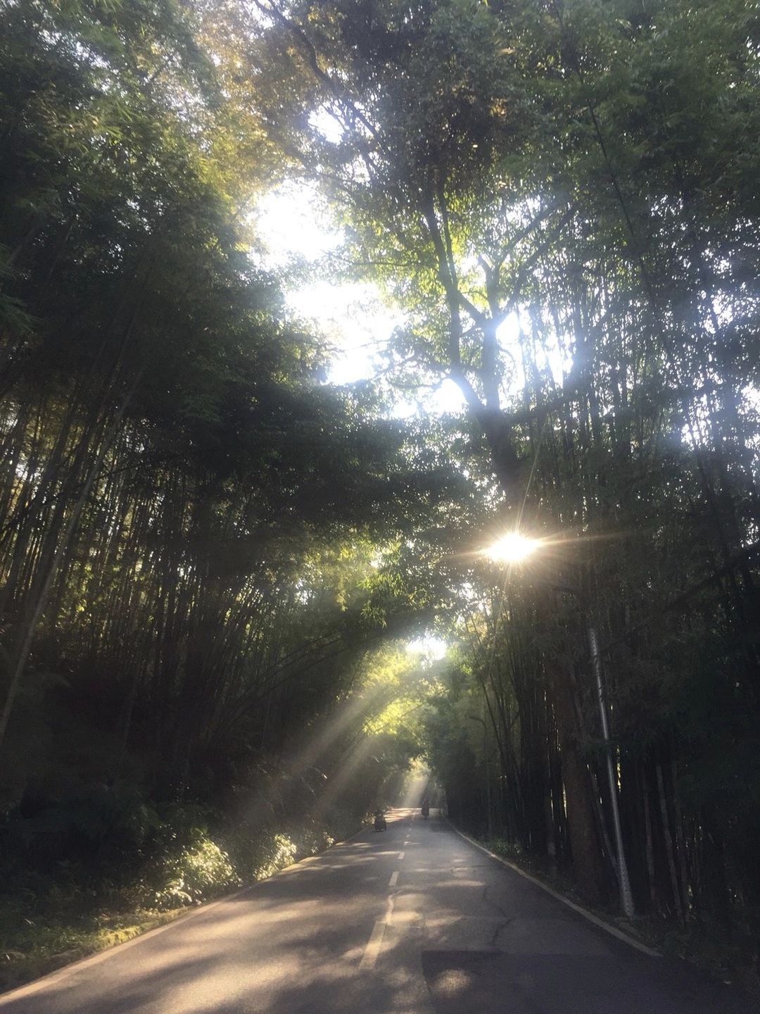 到蜀南竹海，去哪里住？这是一件大事_游记