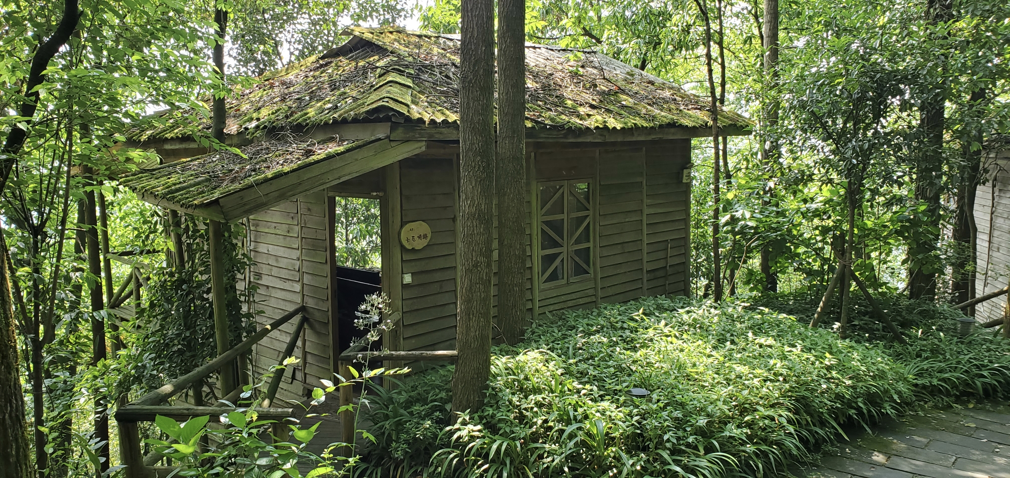 清凉森林里藏着的小木屋-铜梁巴岳山自驾二日游