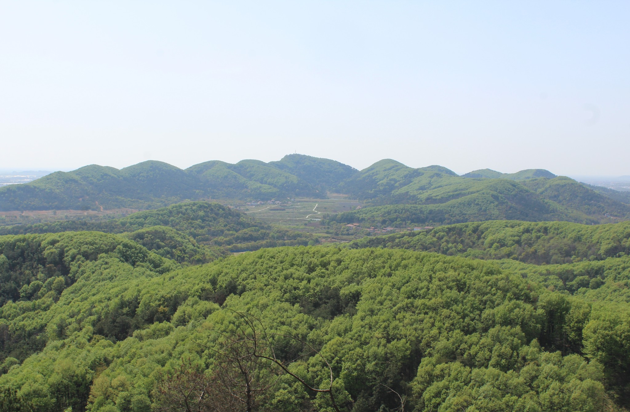 九真山踏青（山客游之一百五十六）