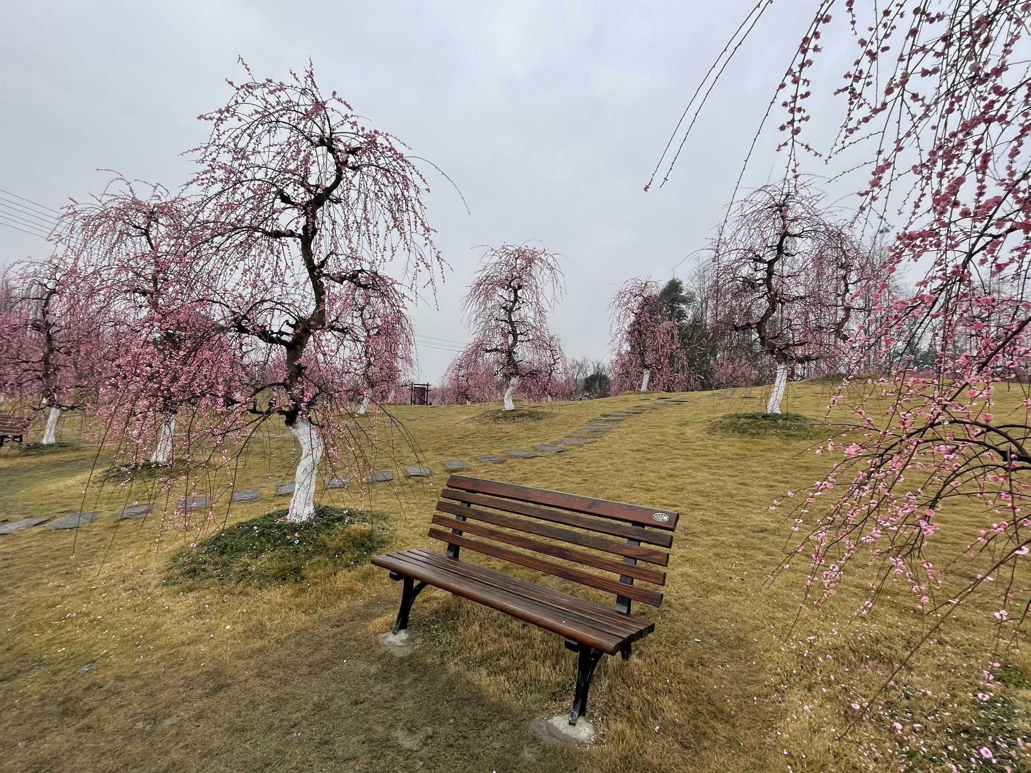 成都都江堰市问花村