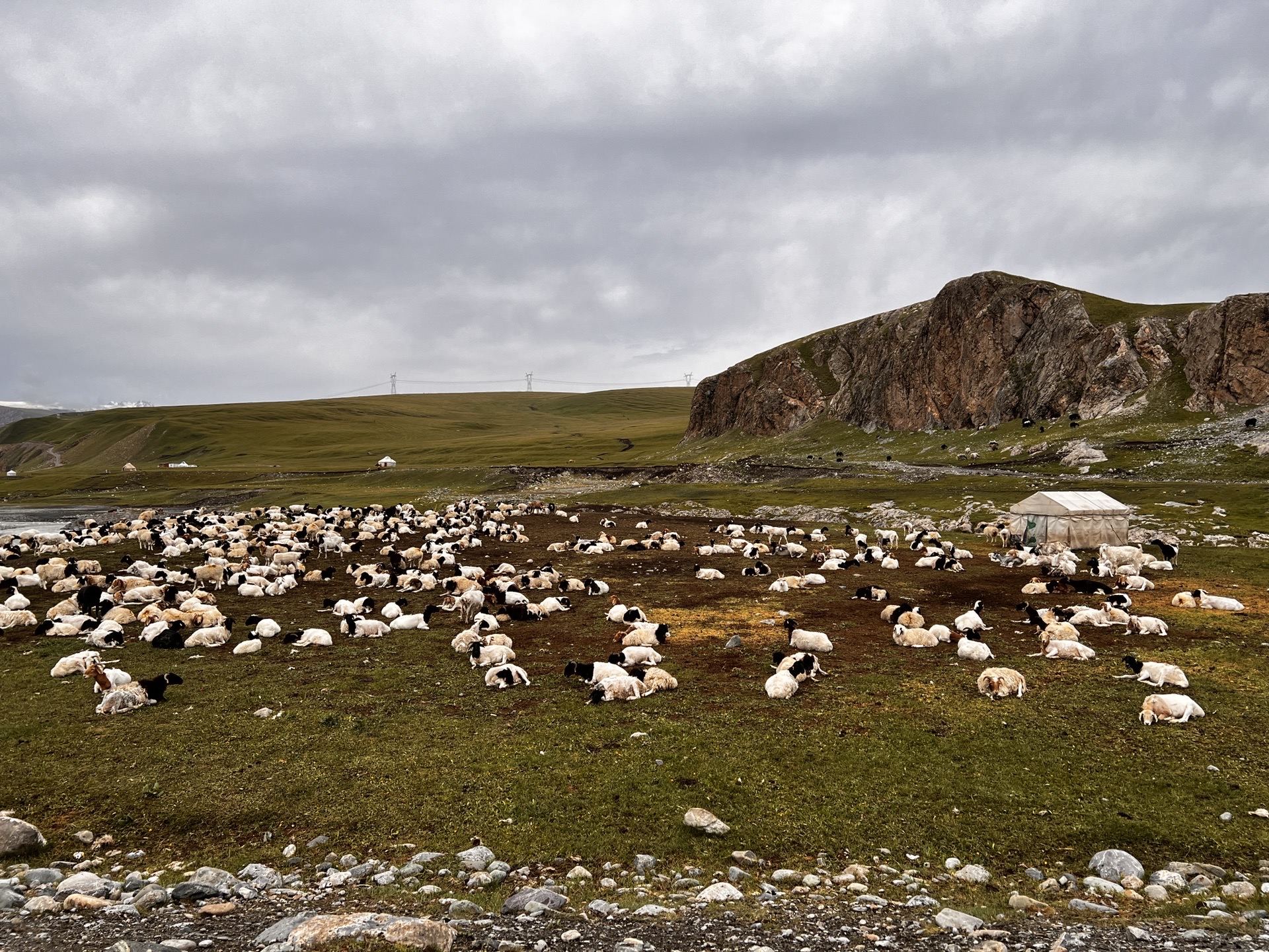 一家三口新疆南北游第四天_游记