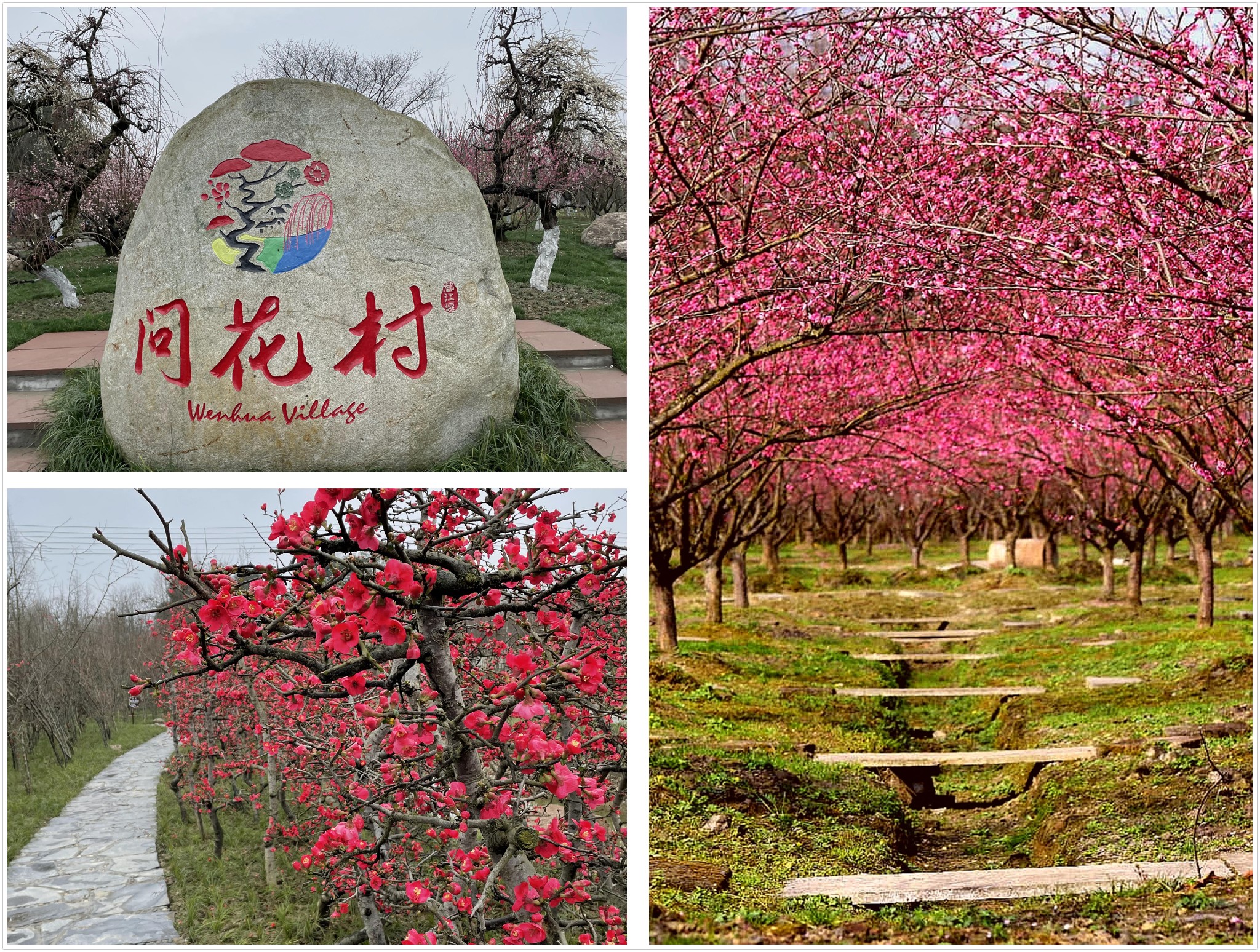 成都都江堰市问花村