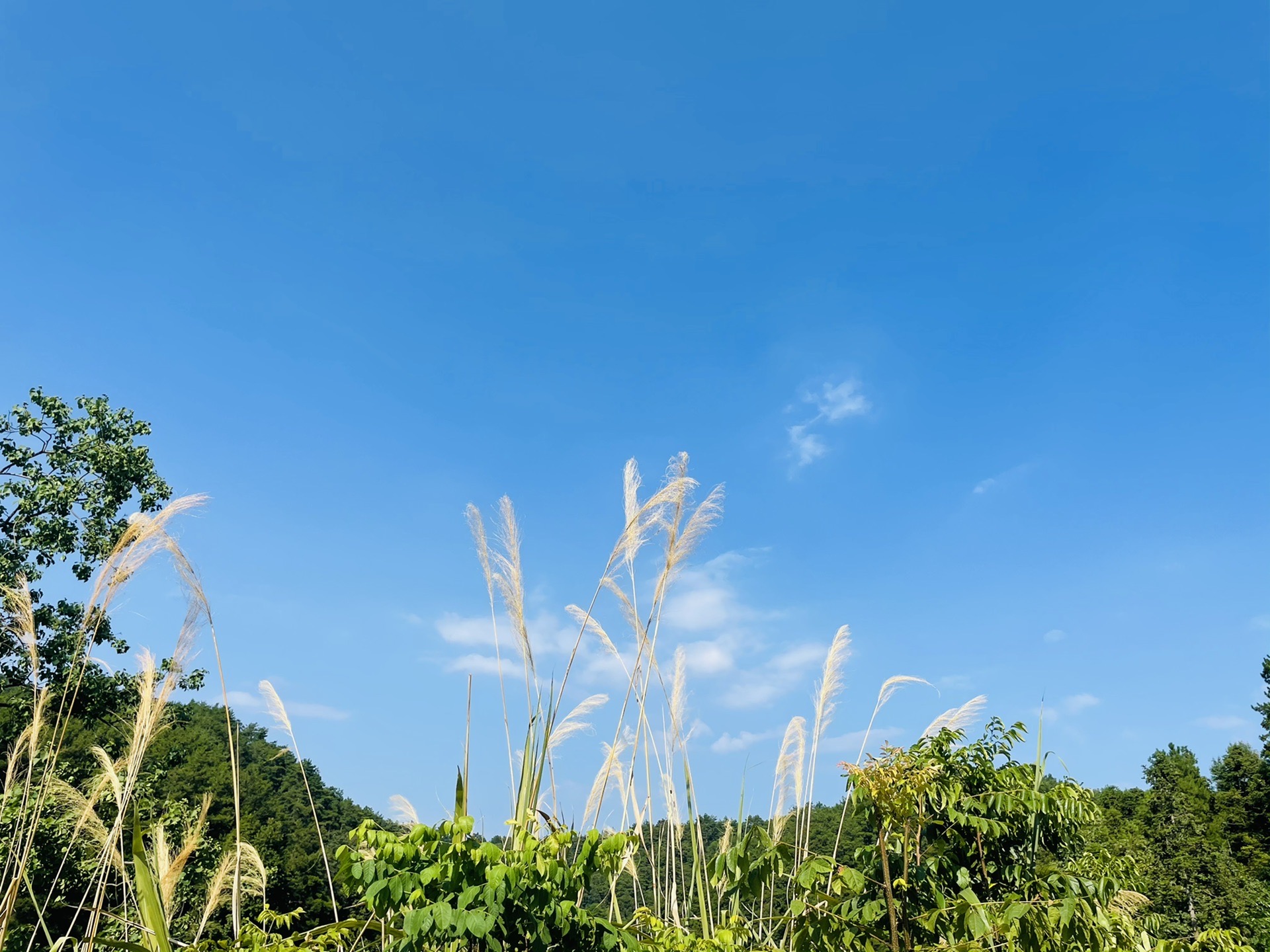 商业污之然景实美——千岛湖_游记