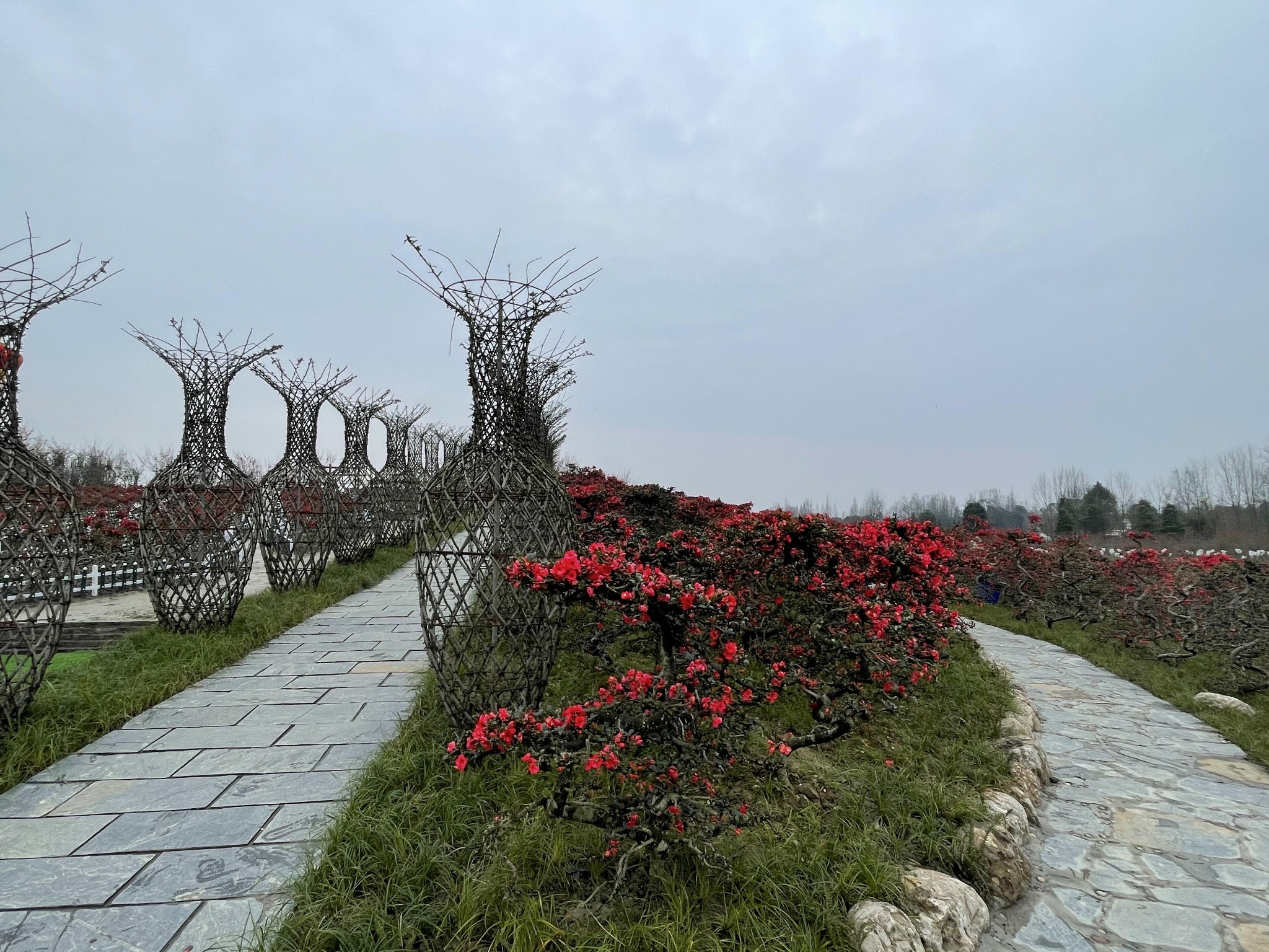 成都都江堰市问花村