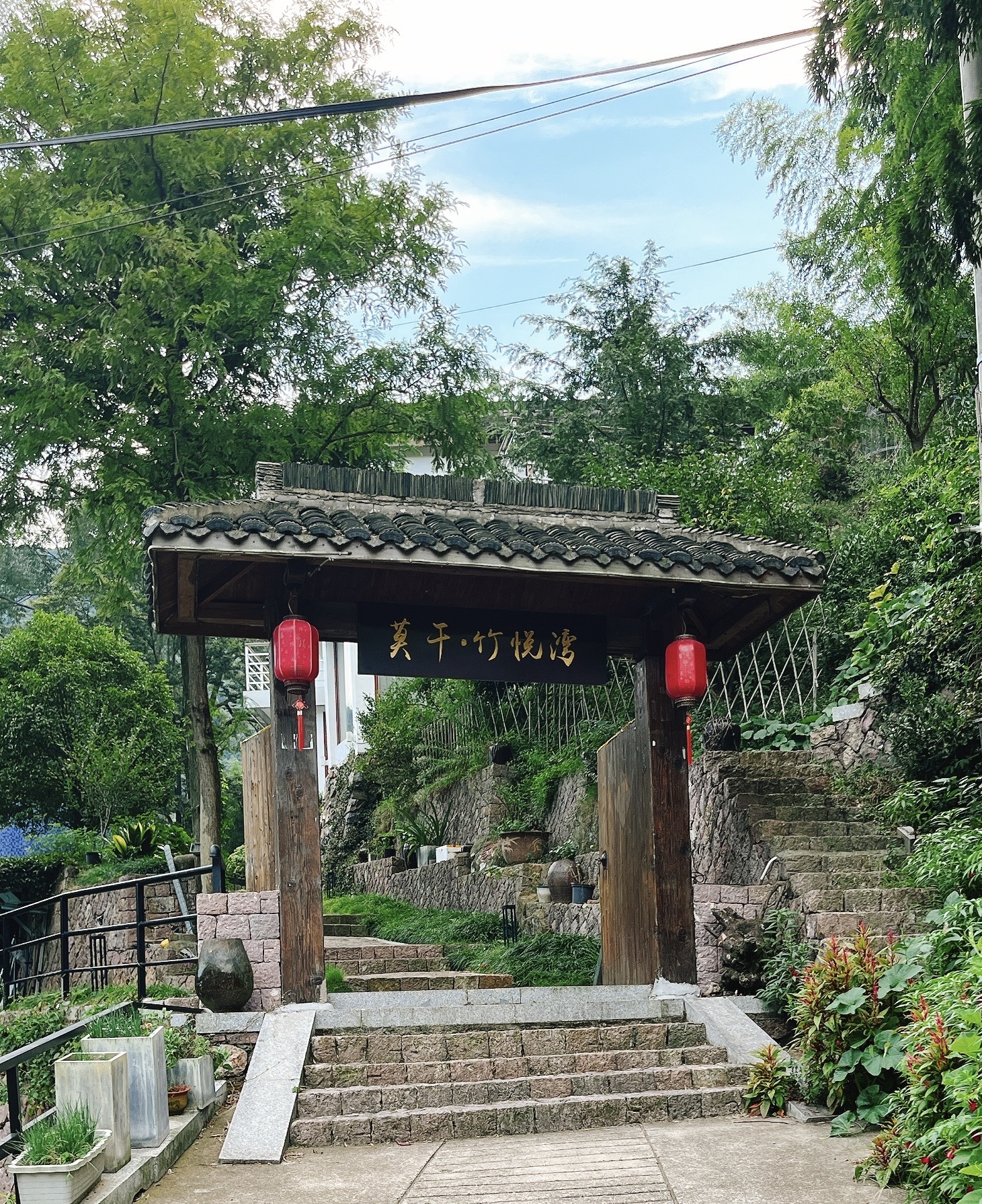 秋日莫干山，溜娃遛狗_游记