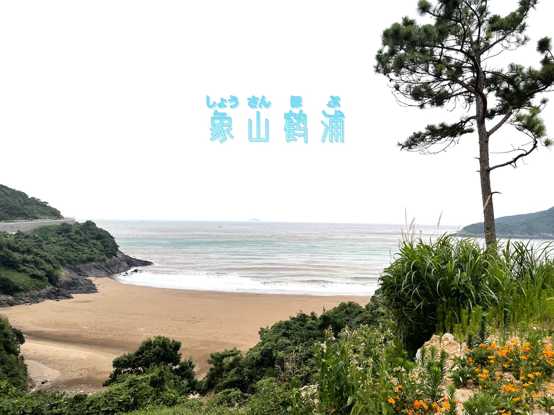 我的“岛民生活”--鹤浦+花岙岛_游记