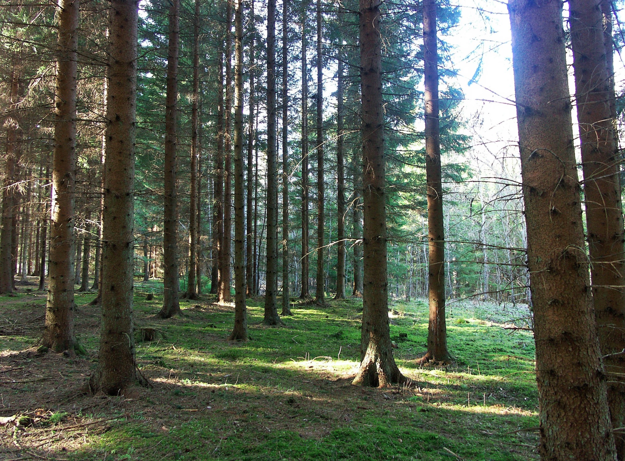 北欧的春天（二）_游记