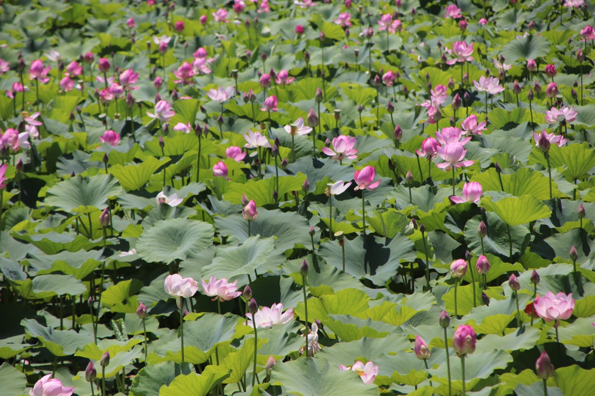 白银水川湿地公园半日游_游记
