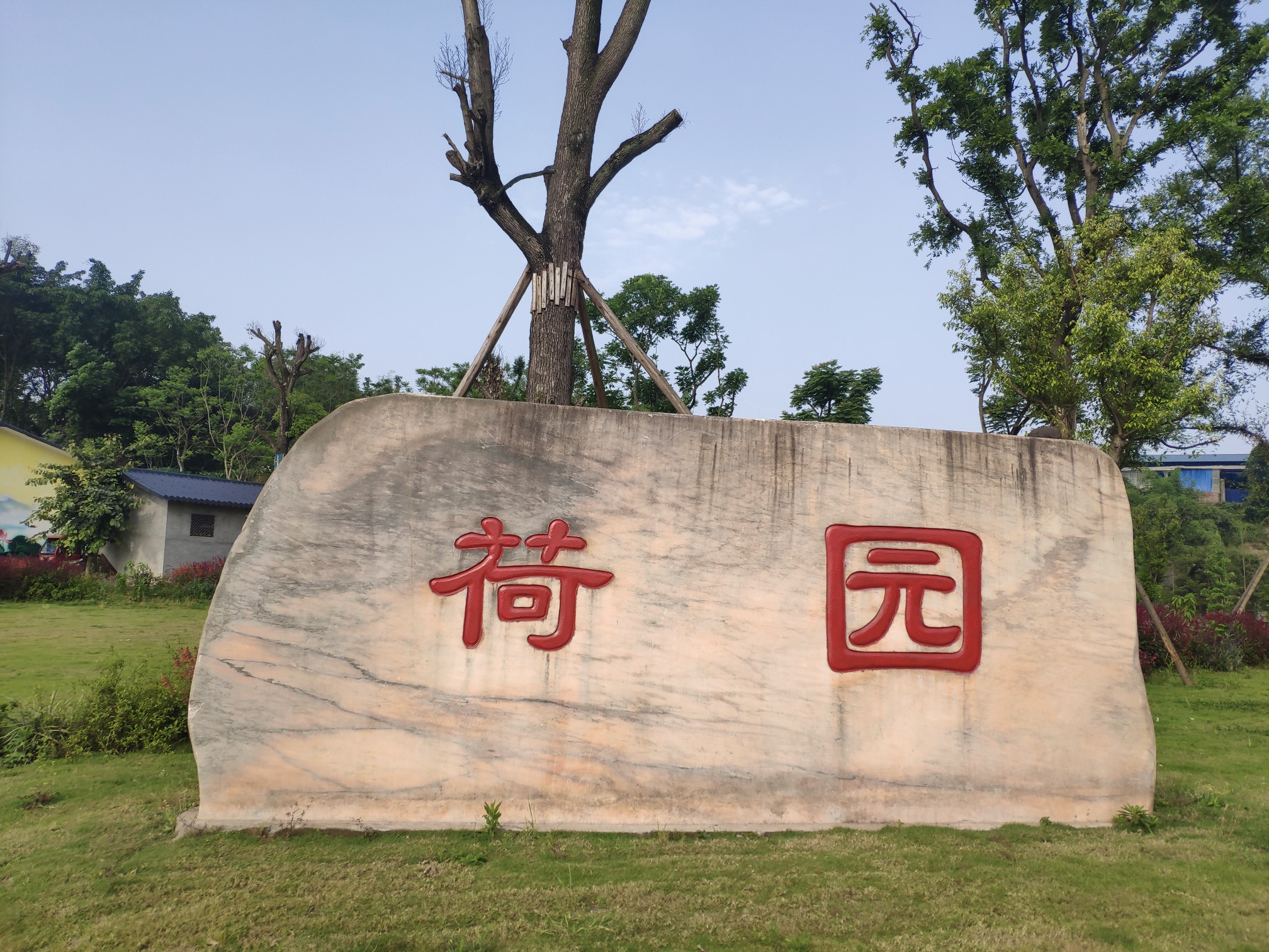 我们游玩在荷园，自由自在随拍在景中_游记