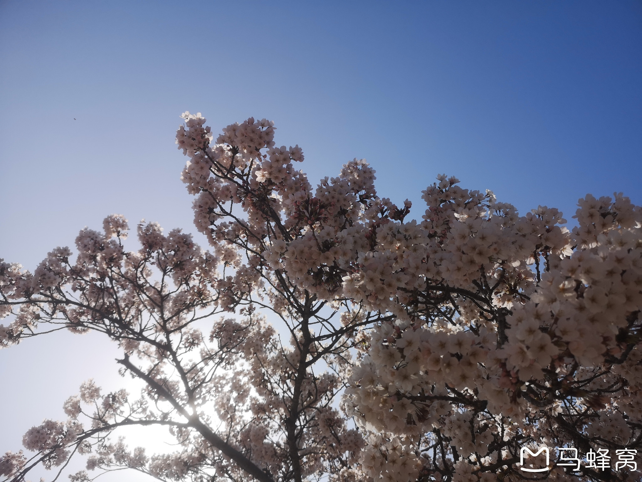 来点苦中作乐吧！_游记