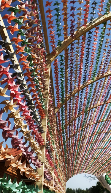 20220719 库车石榴休闲山庄休整_游记