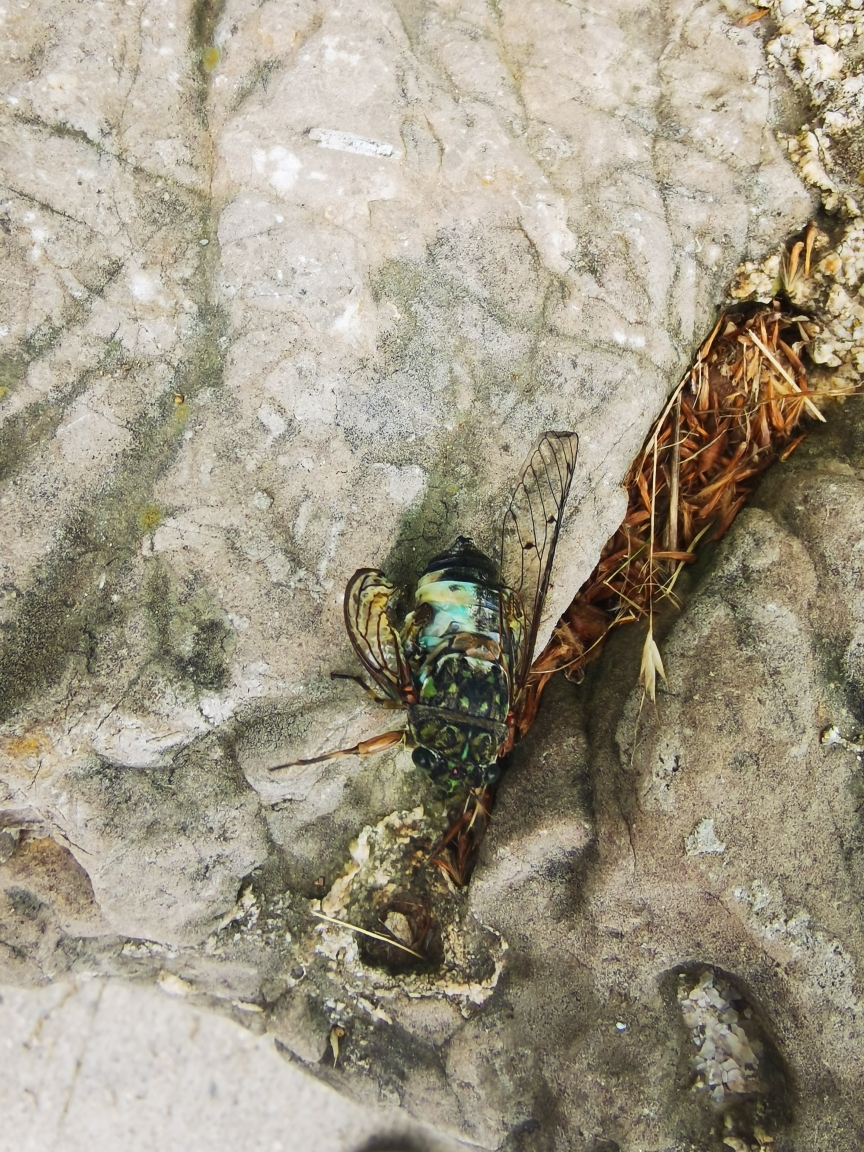 长岛游记_游记