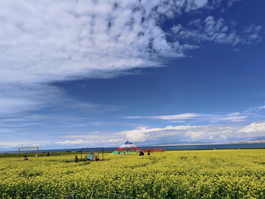 青甘大环线_游记