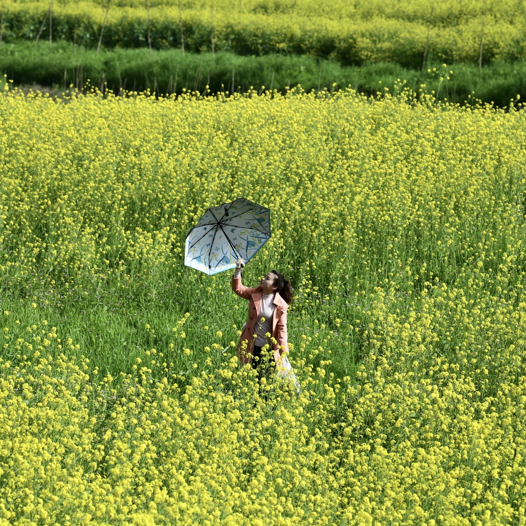 风来吹风，雨来听雨——2021年除夕感言_游记