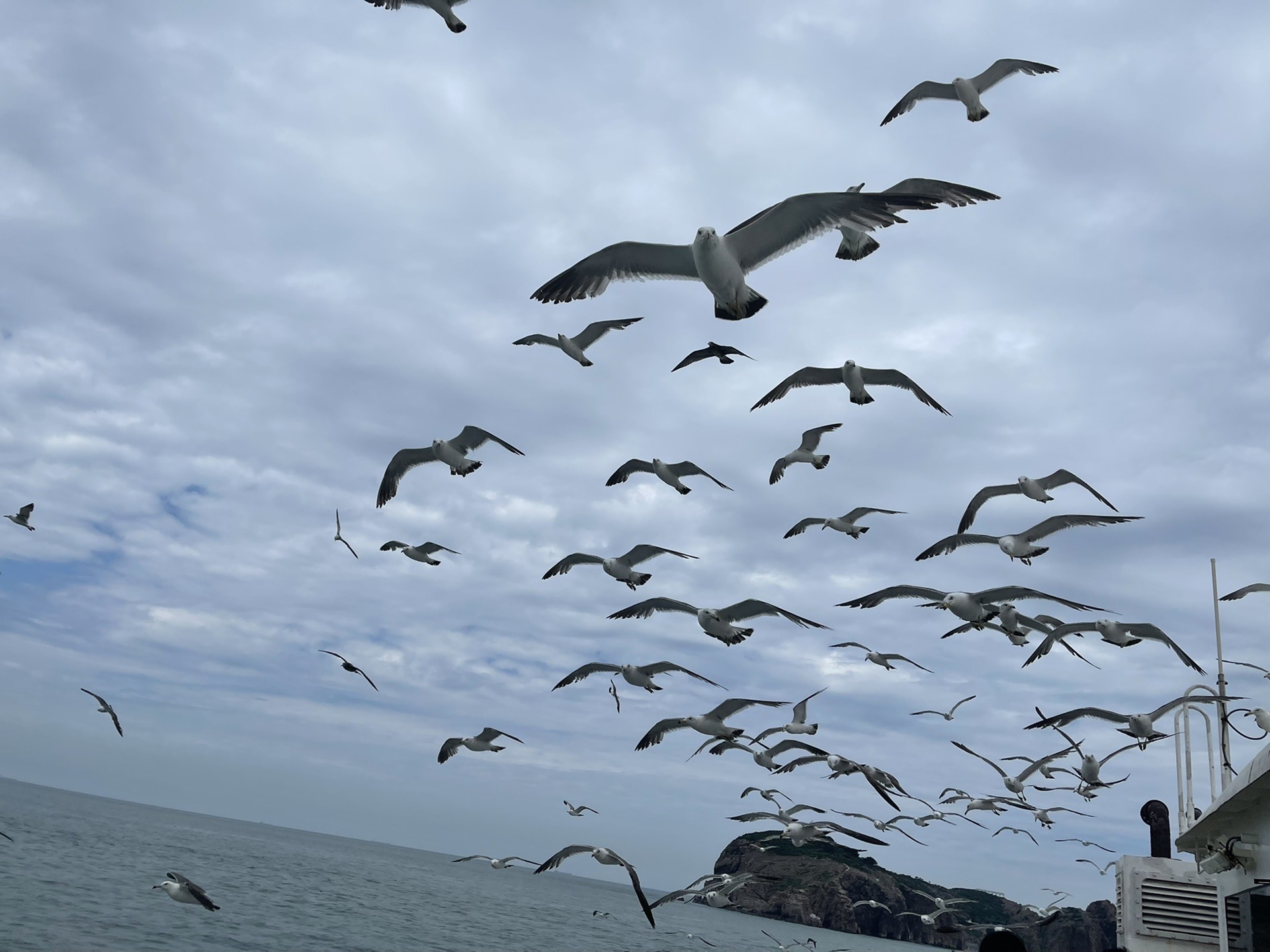 威海海驴岛_游记