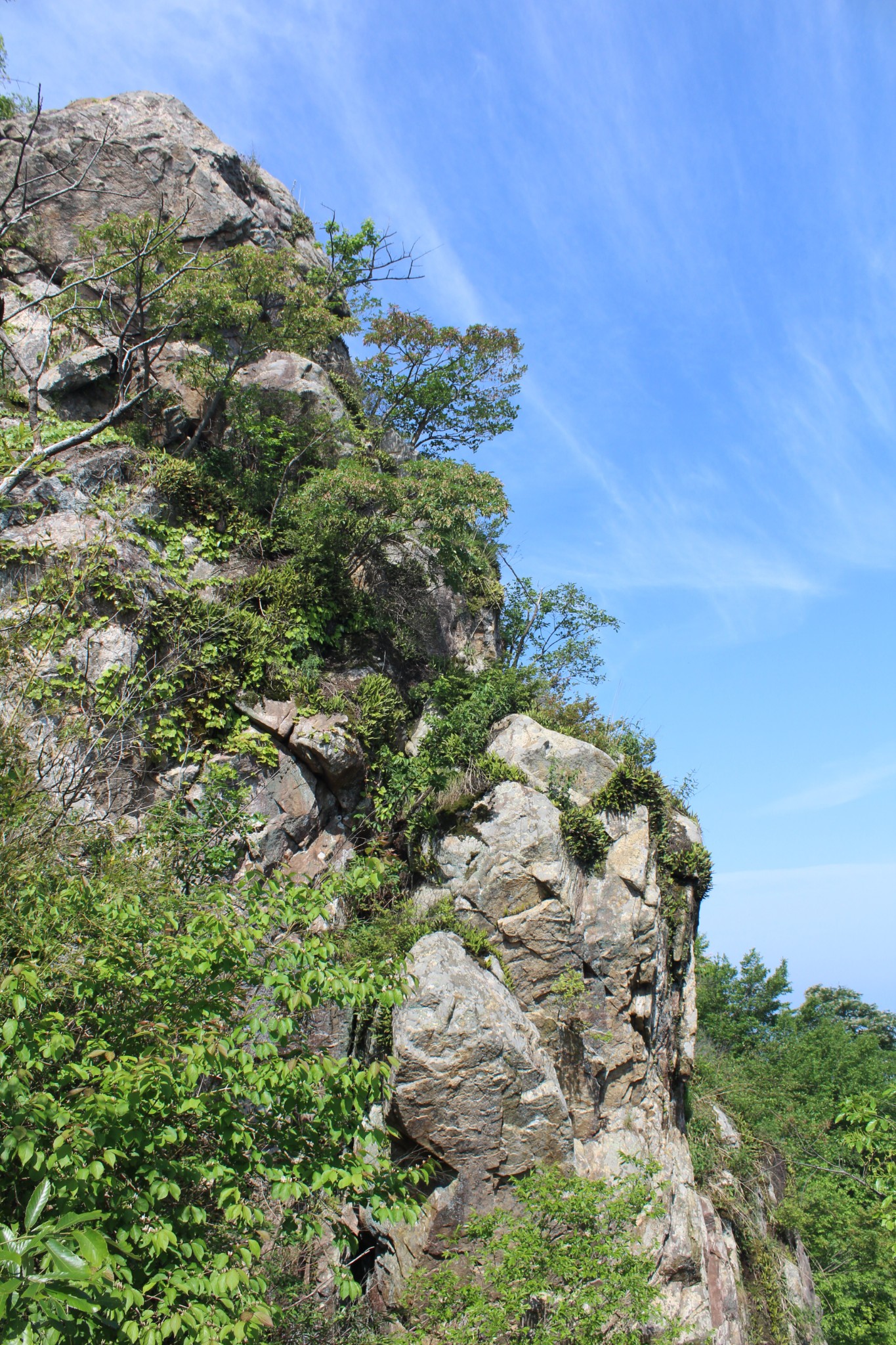 英山羊角尖山客游之一百五十七