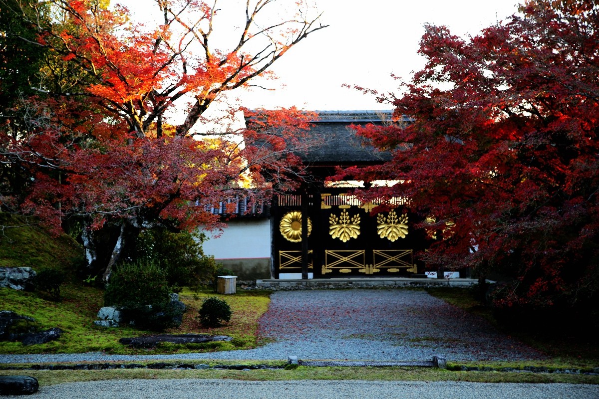 京都自助遊攻略