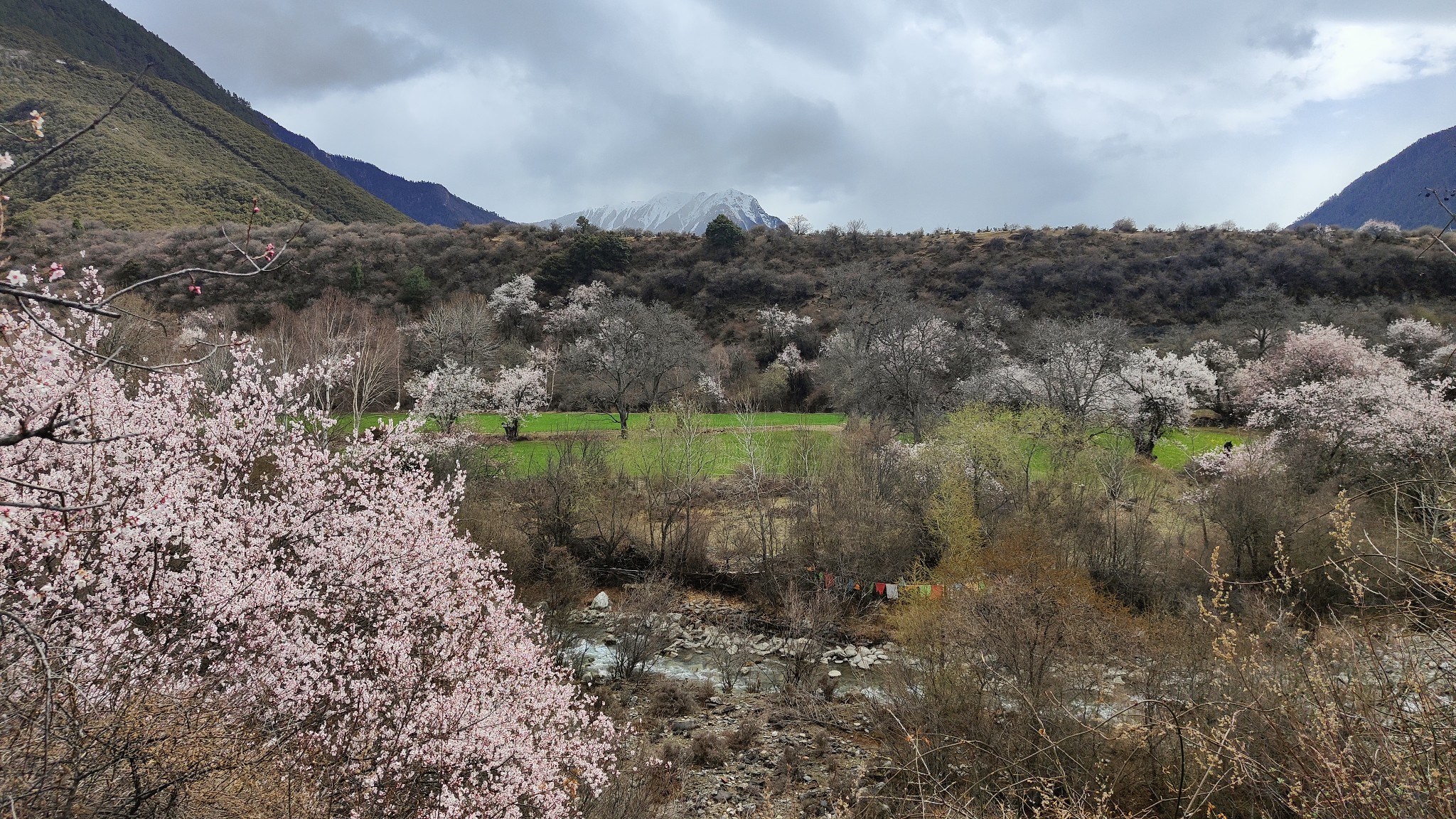 林芝自助遊攻略