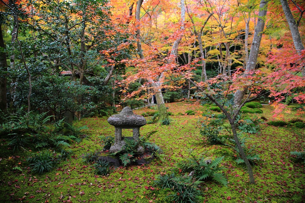 京都自助遊攻略