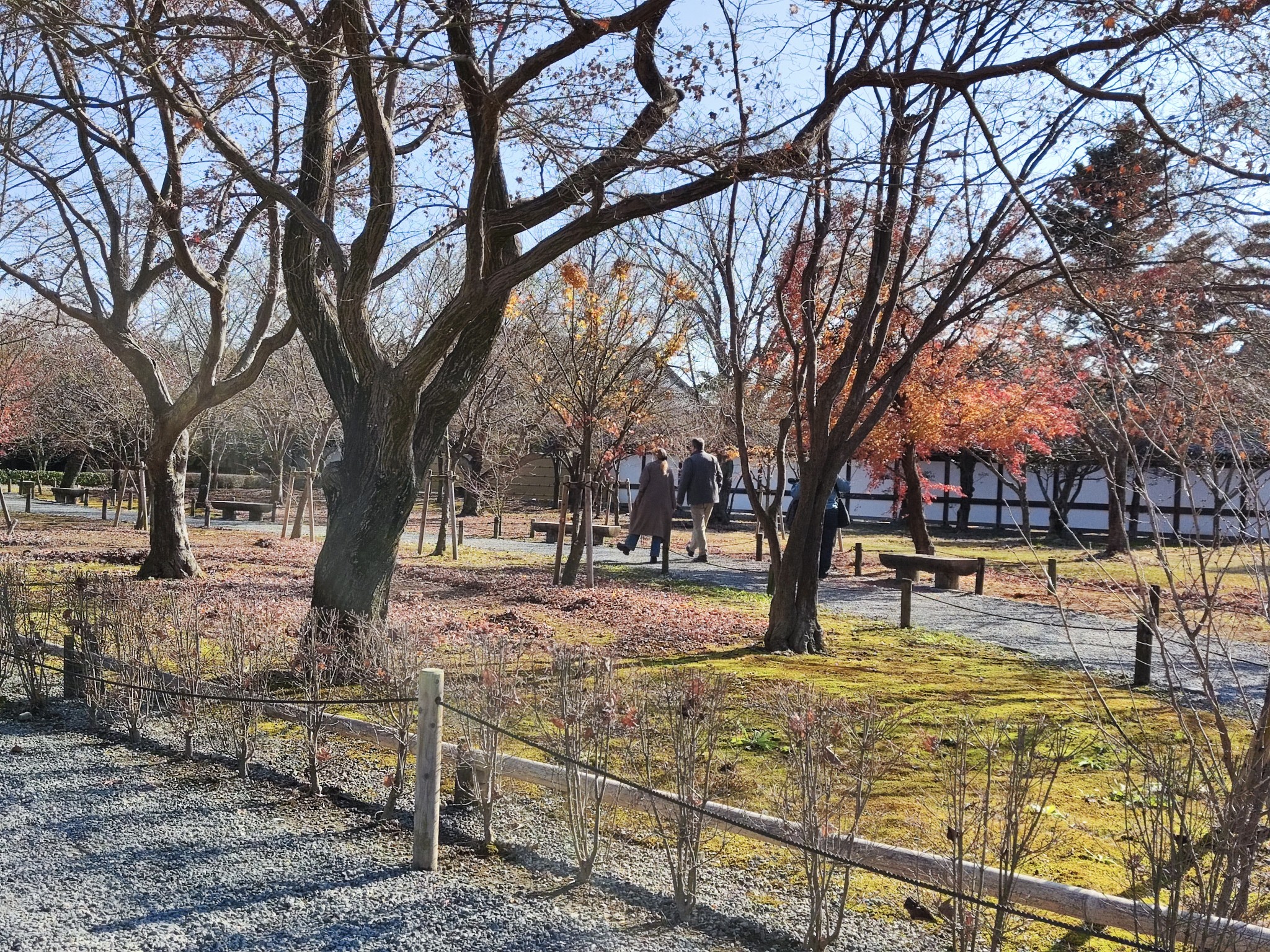 京都自助遊攻略