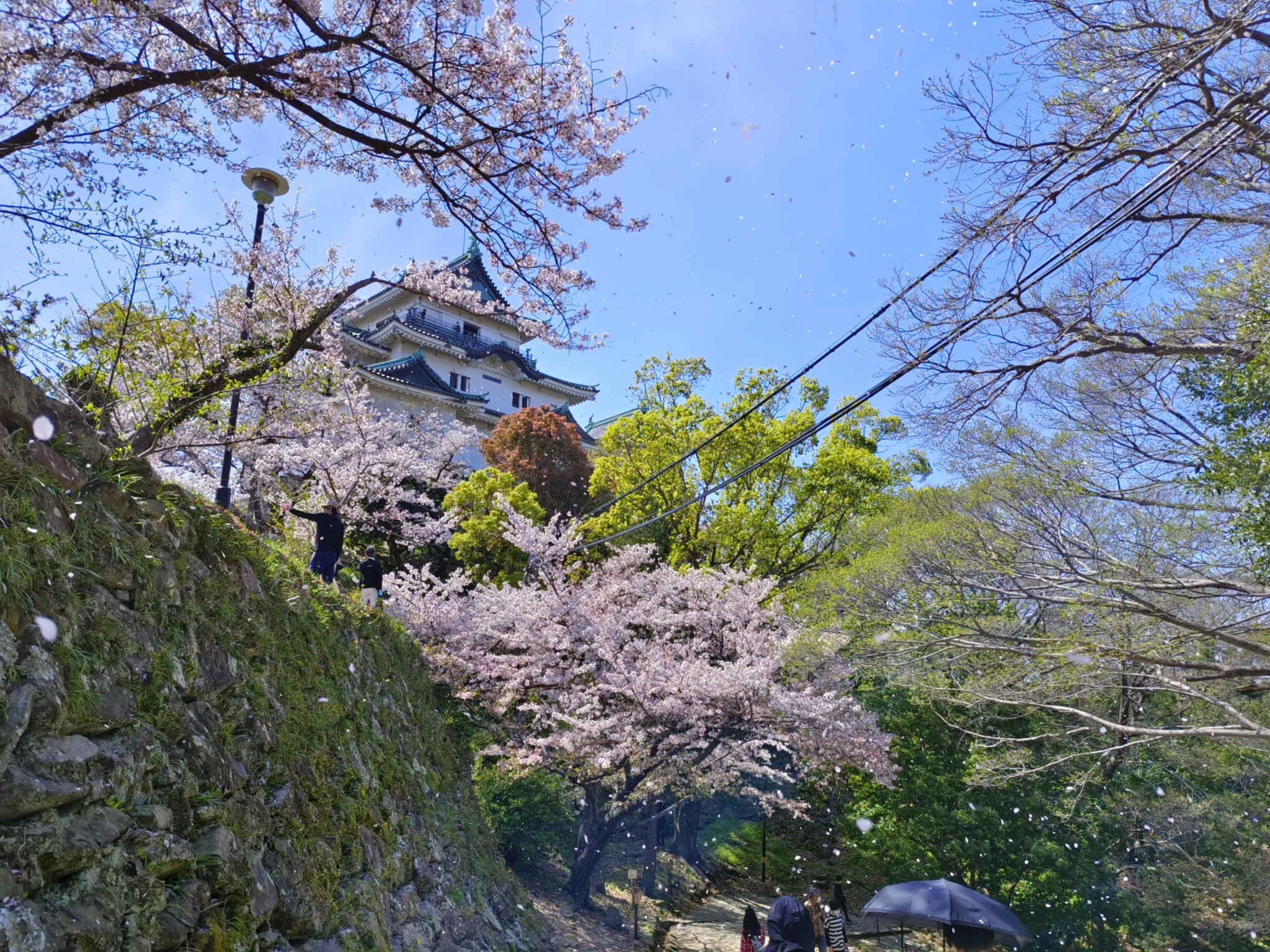 日本自助遊攻略