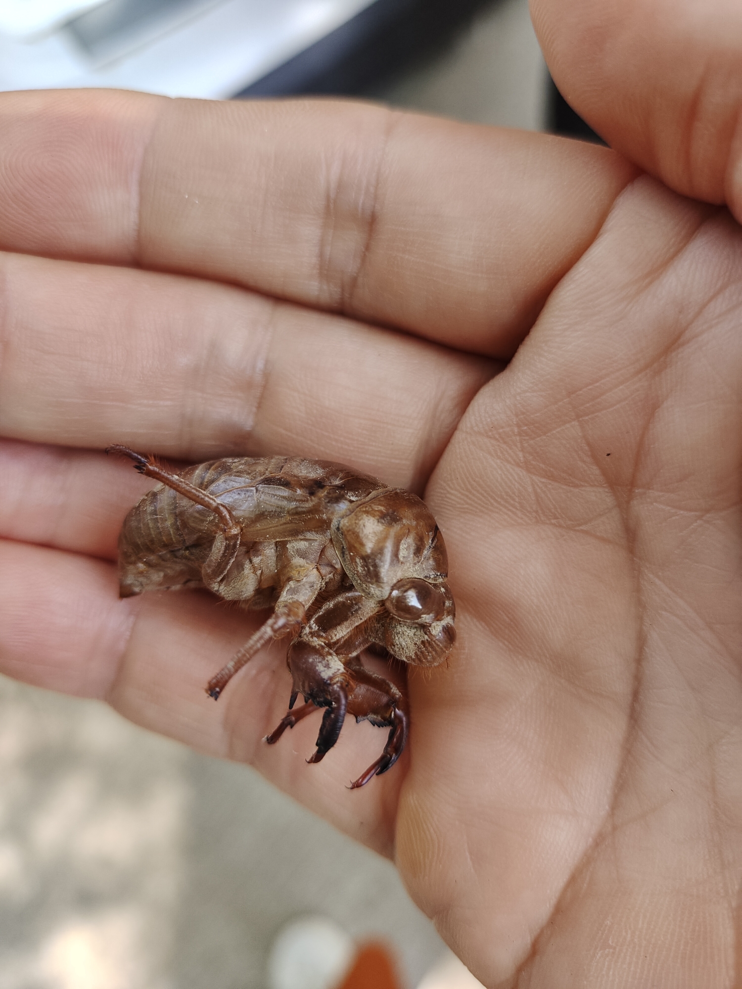 20220730承德县滴水崖