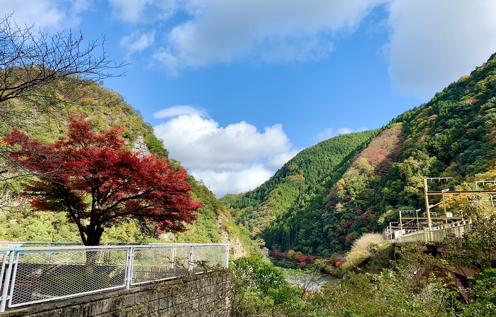 京都自助遊攻略