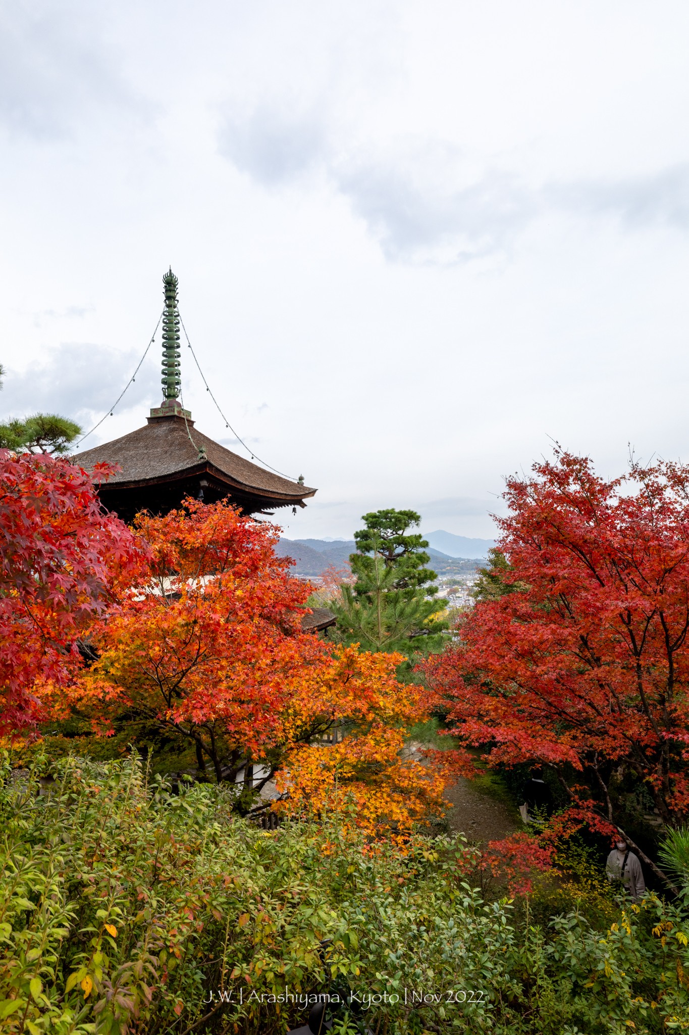 京都自助遊攻略