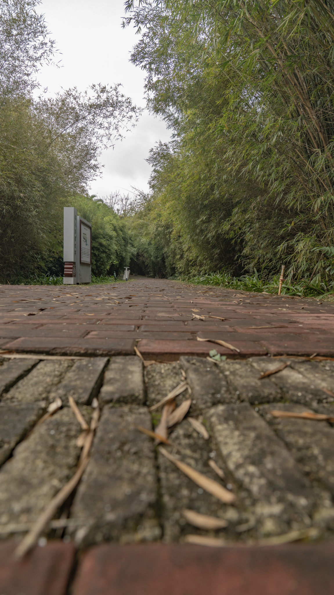 湛江市霞山区公园