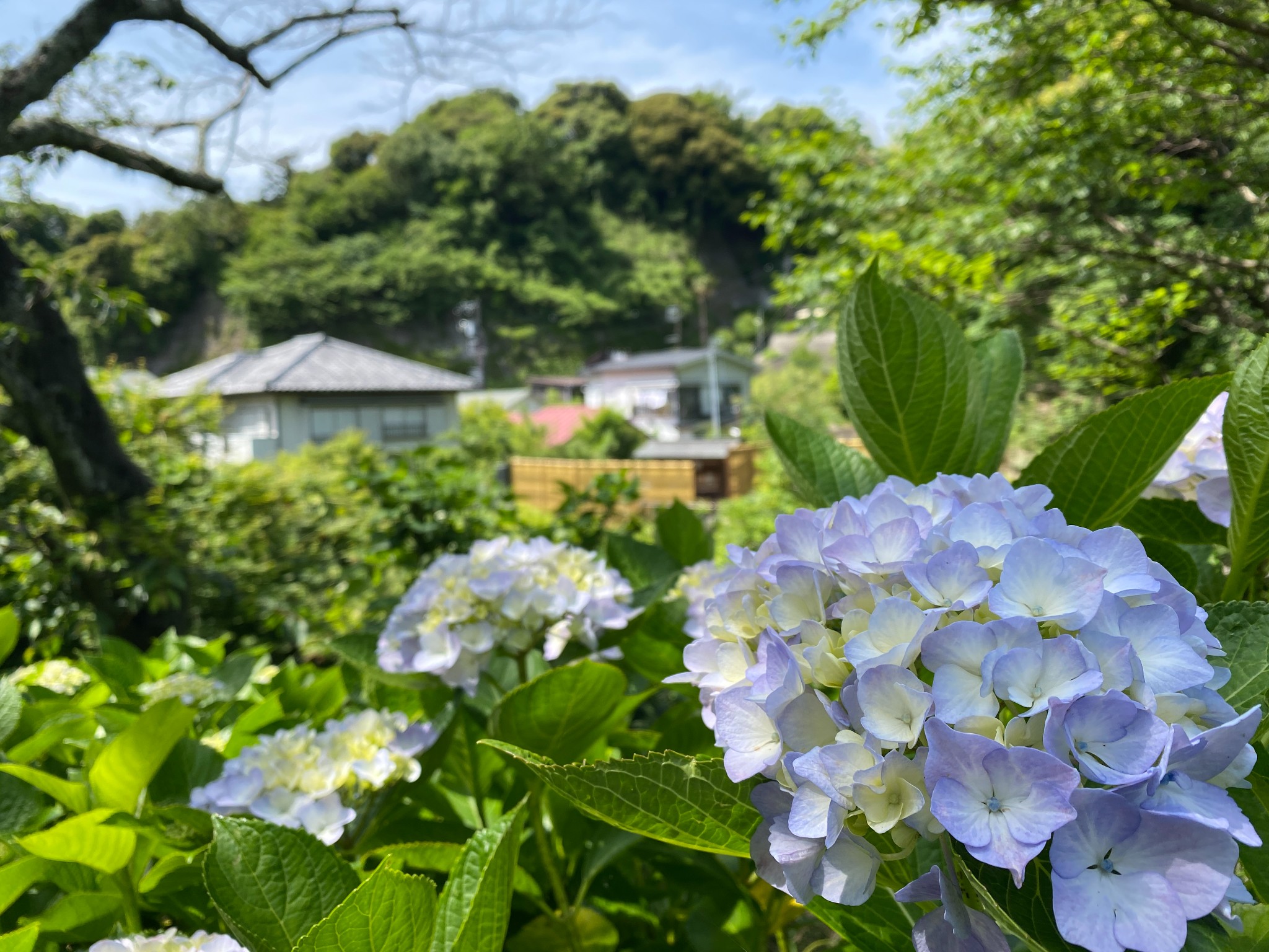 日本自助遊攻略