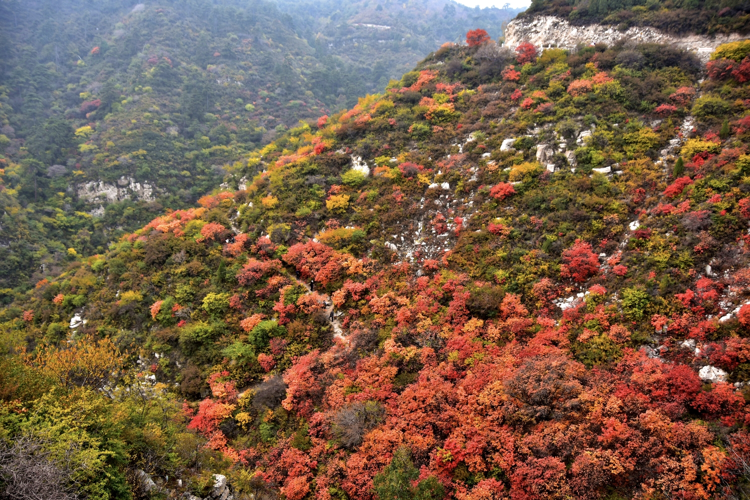 2015太原周邊遊～崛圍山紅葉,太原自助遊攻略 - 馬蜂窩