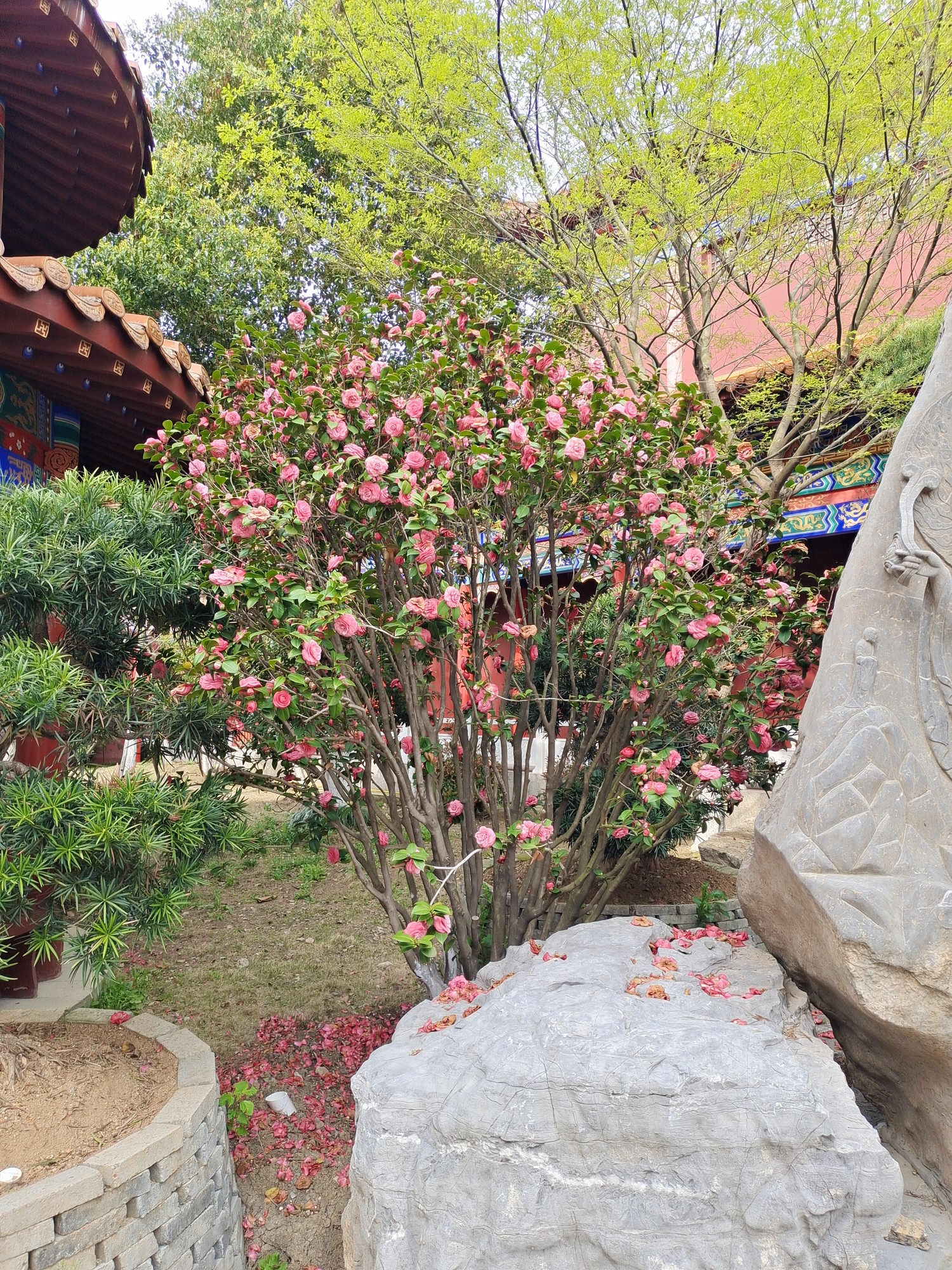 洪泽大吉祥寺祈祷