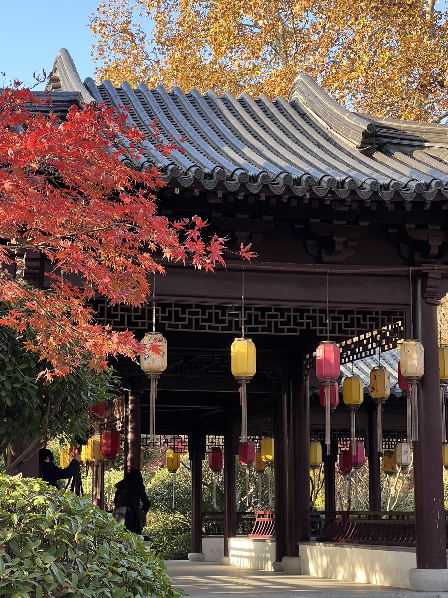 金陵秋色—重逢犹如初见｜漫游南京栖霞山｜鸡鸣寺｜钟山风景区,南京旅游攻略