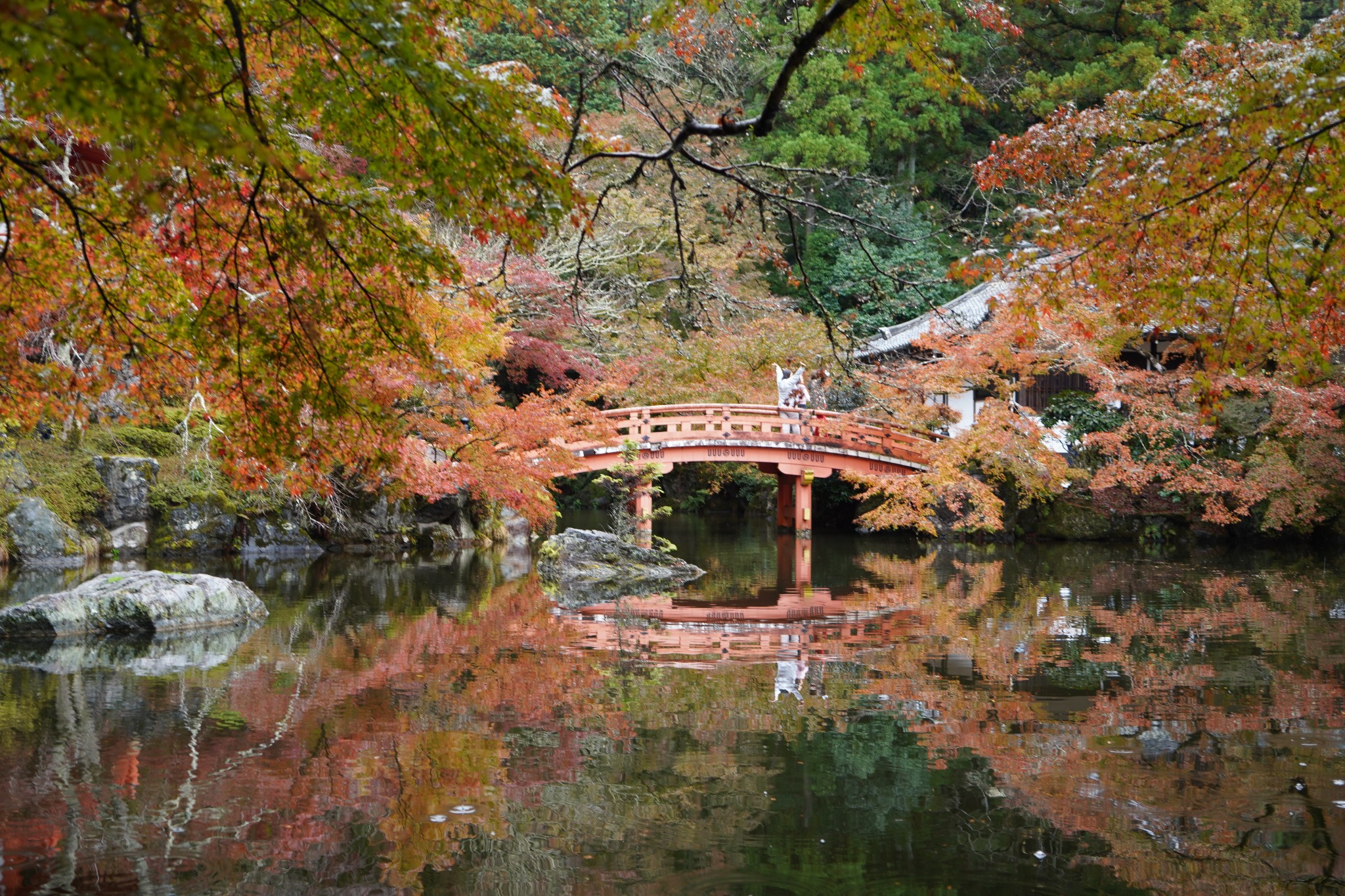 京都自助遊攻略