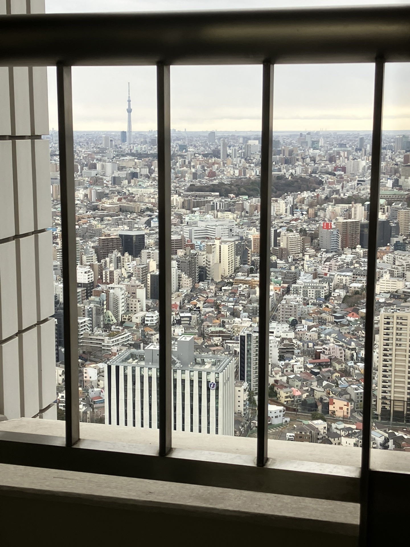 東京自助遊攻略