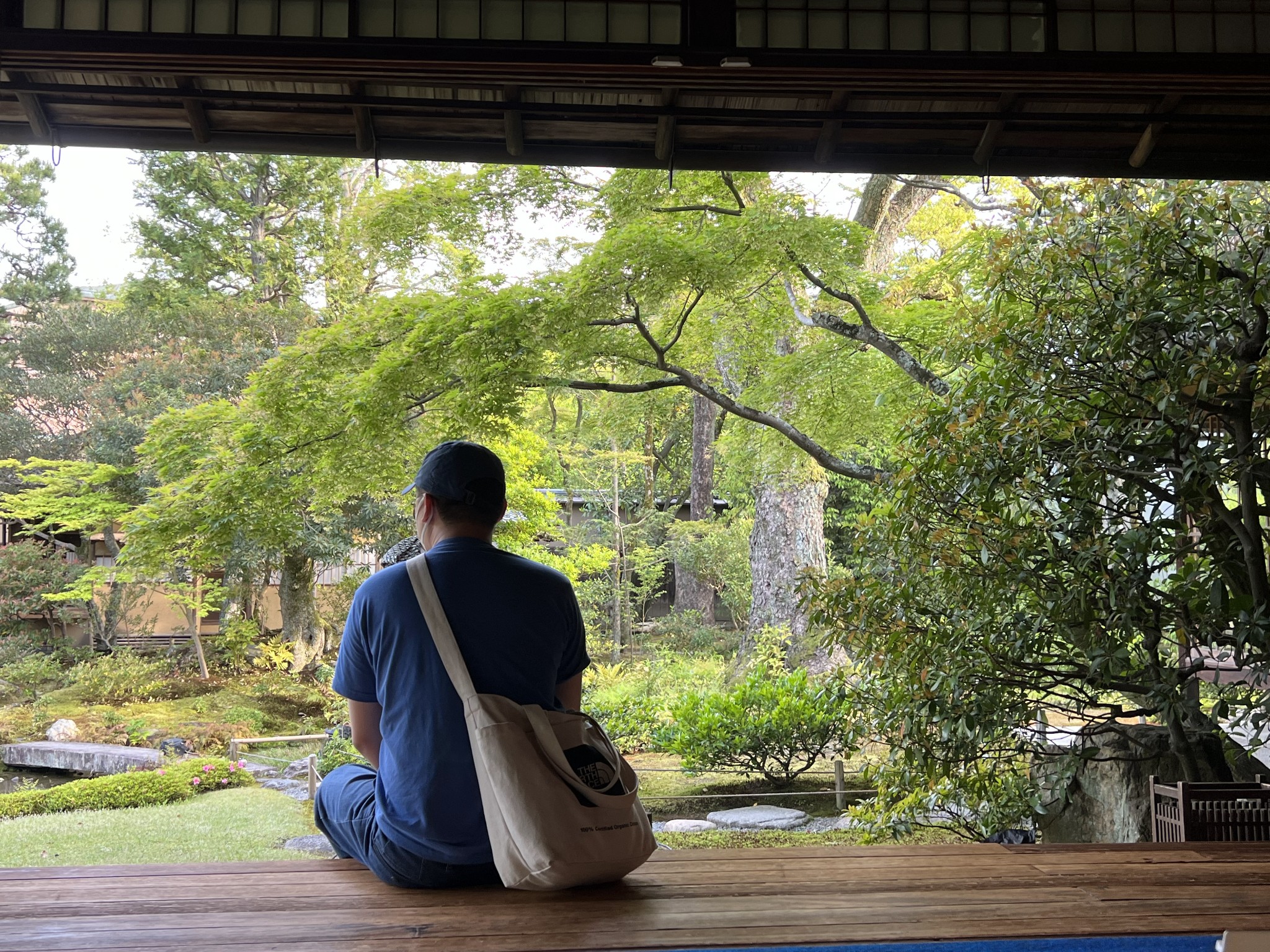 京都自助遊攻略