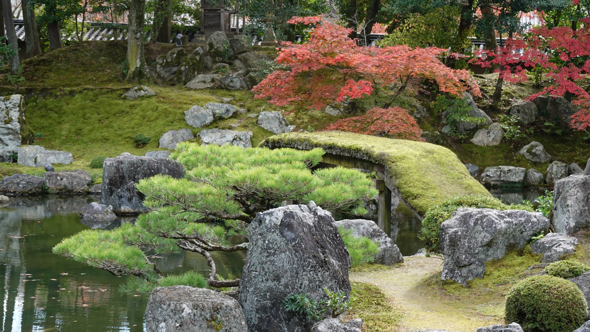 京都自助遊攻略