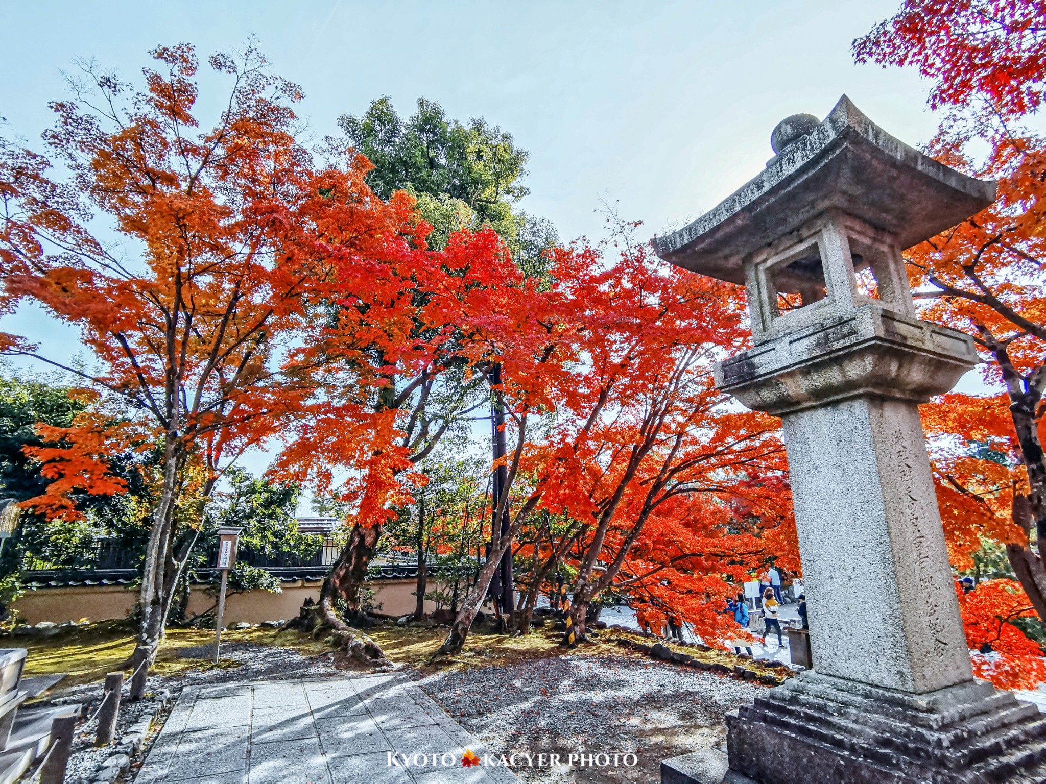 京都自助遊攻略