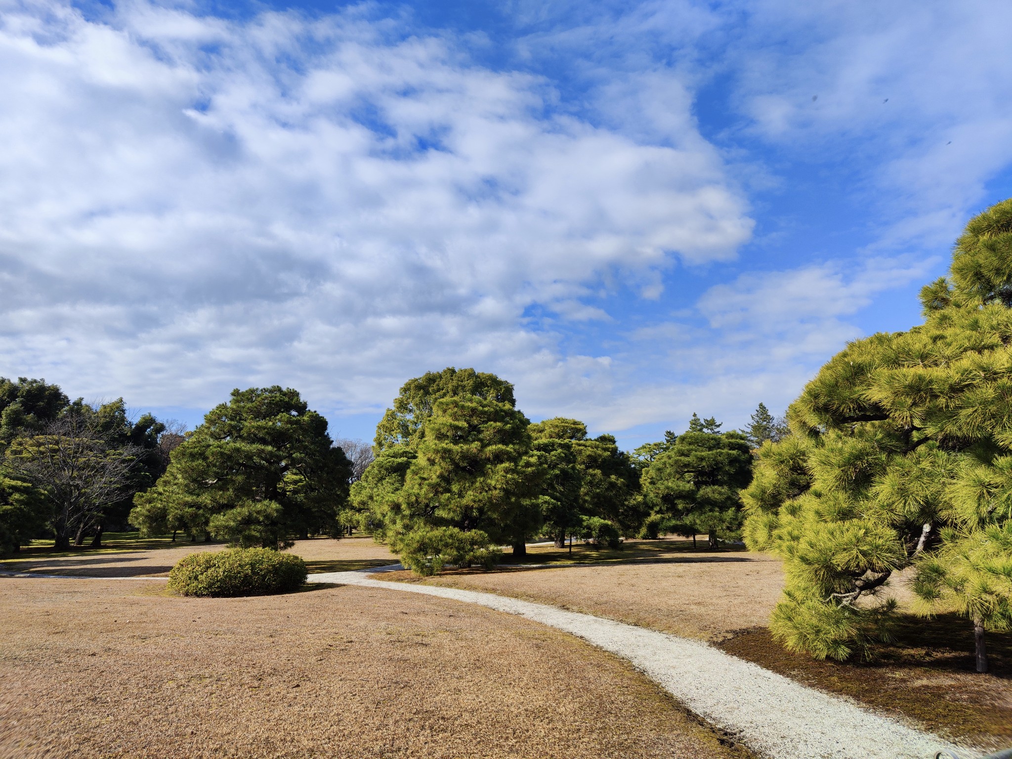 京都自助遊攻略